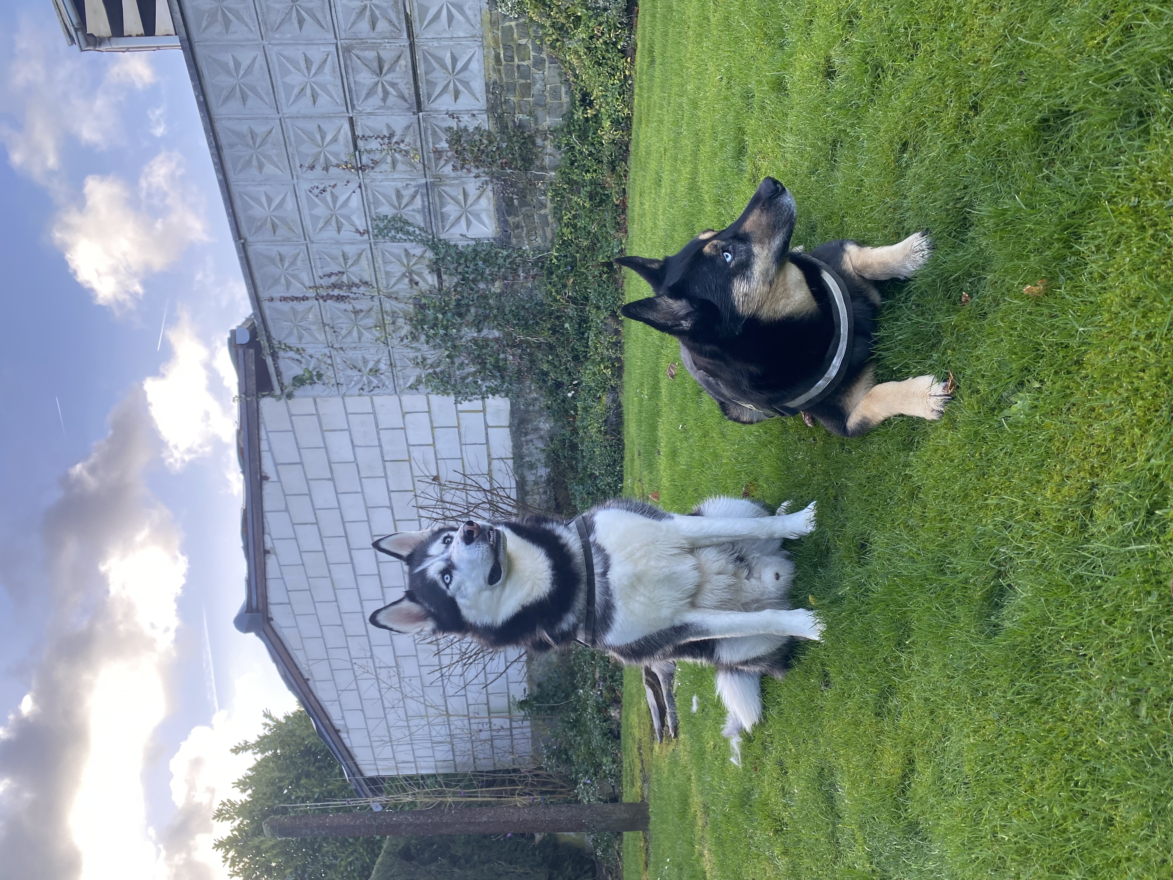 image-6