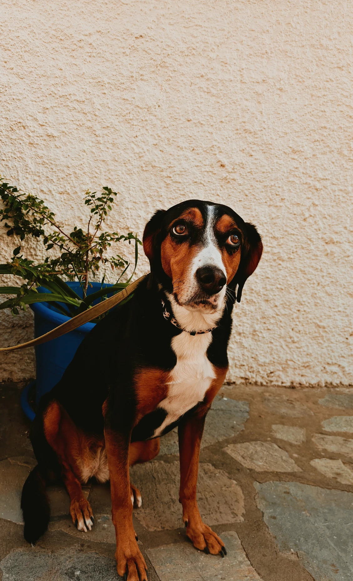 image-6