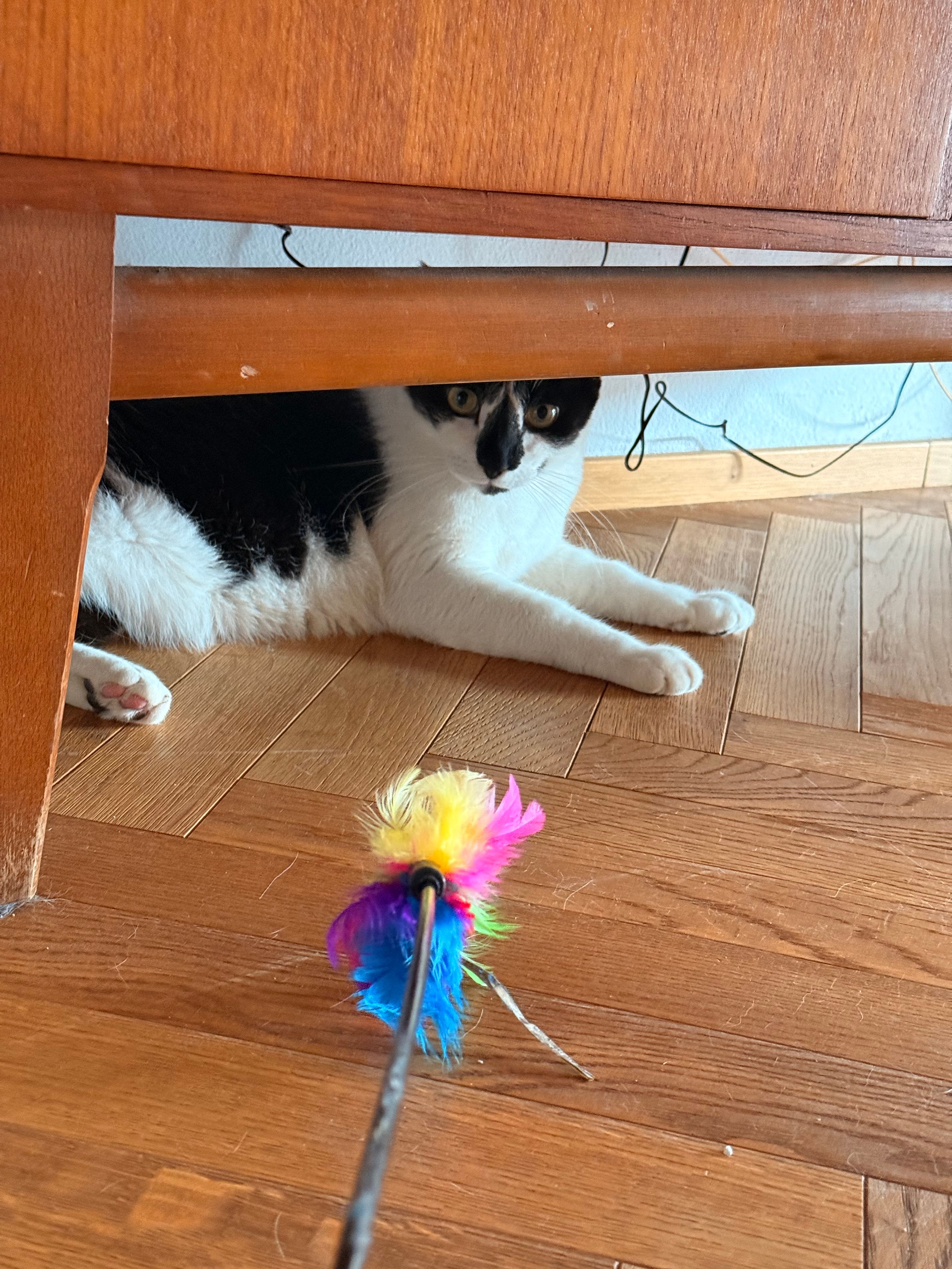 image-11