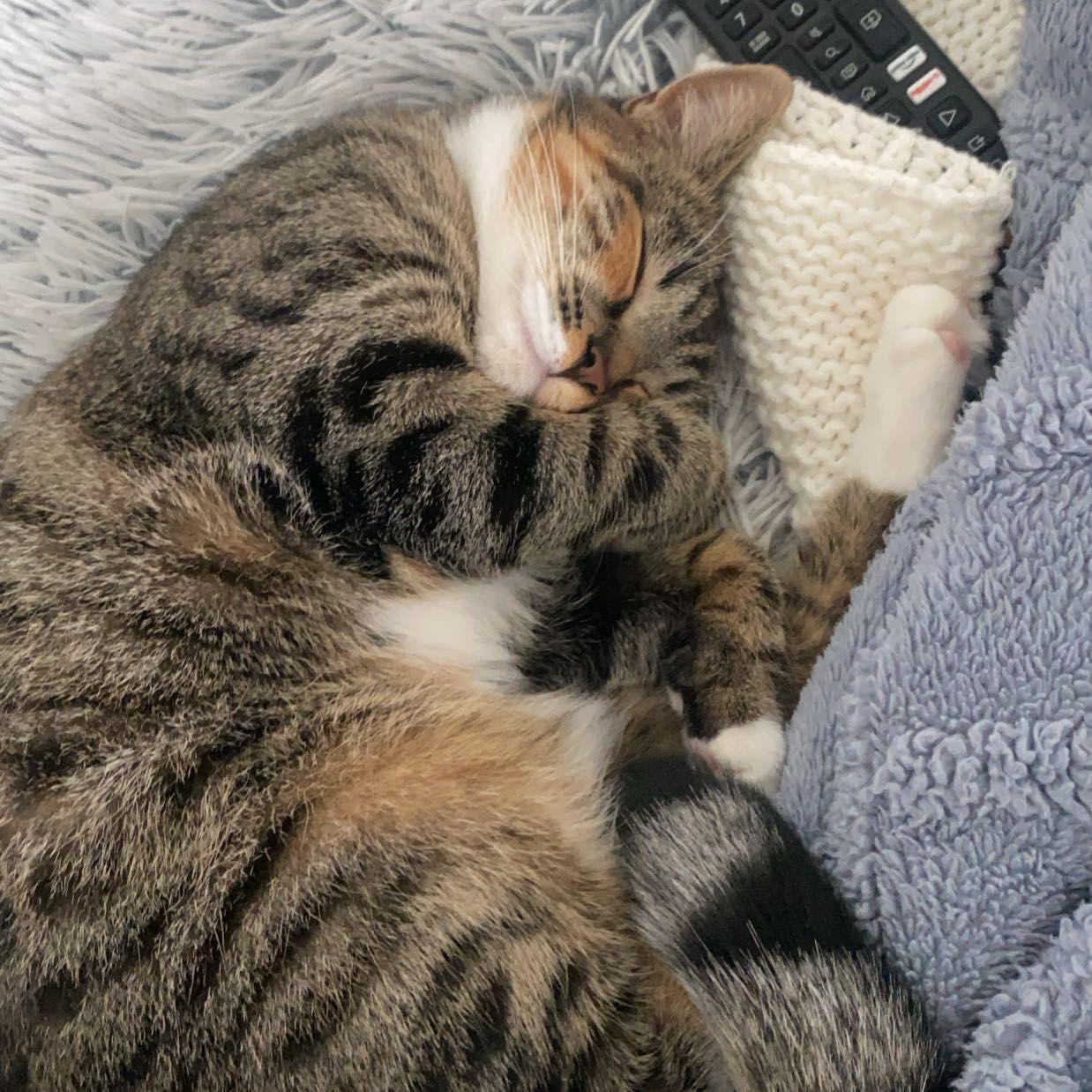 Nala