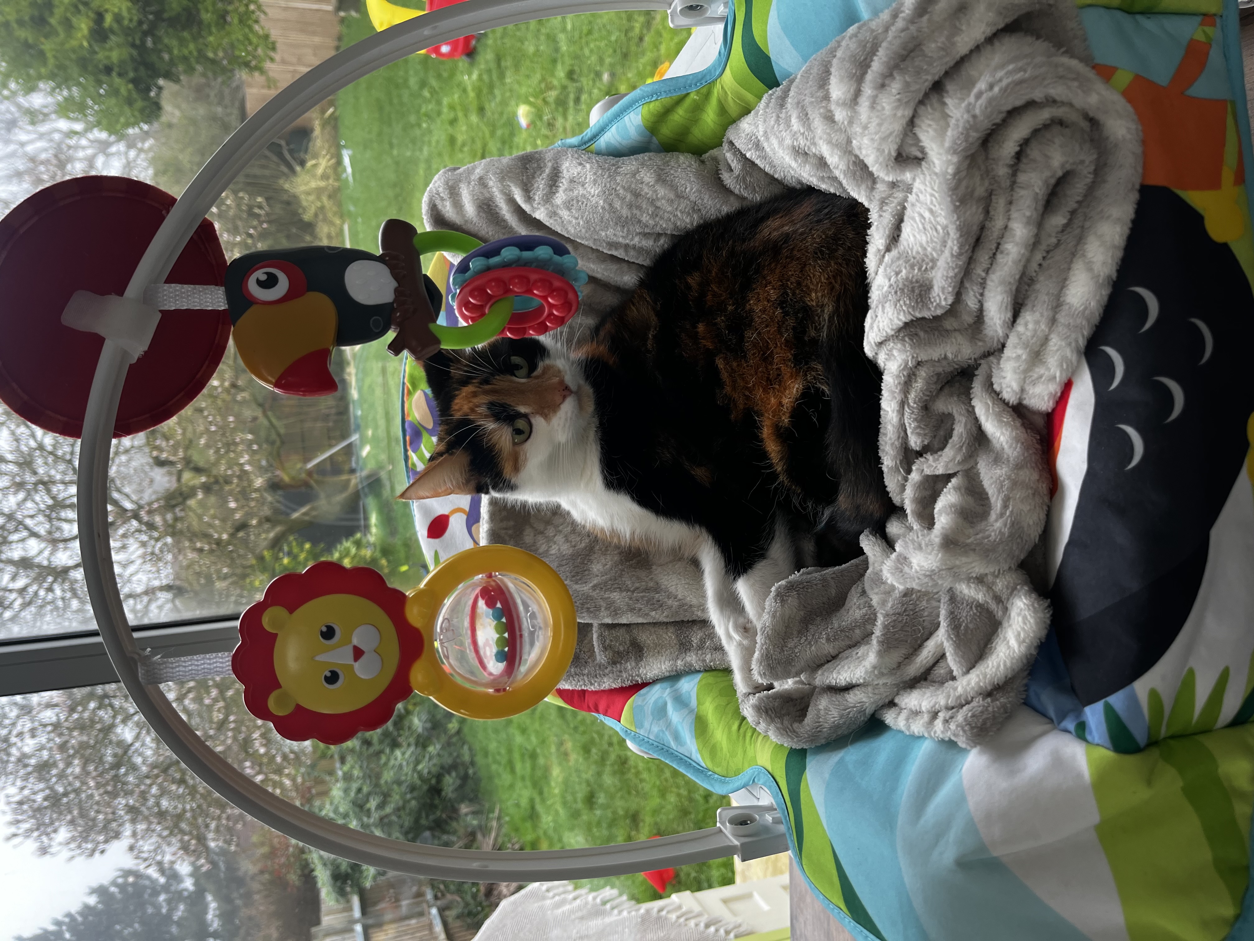 image-7