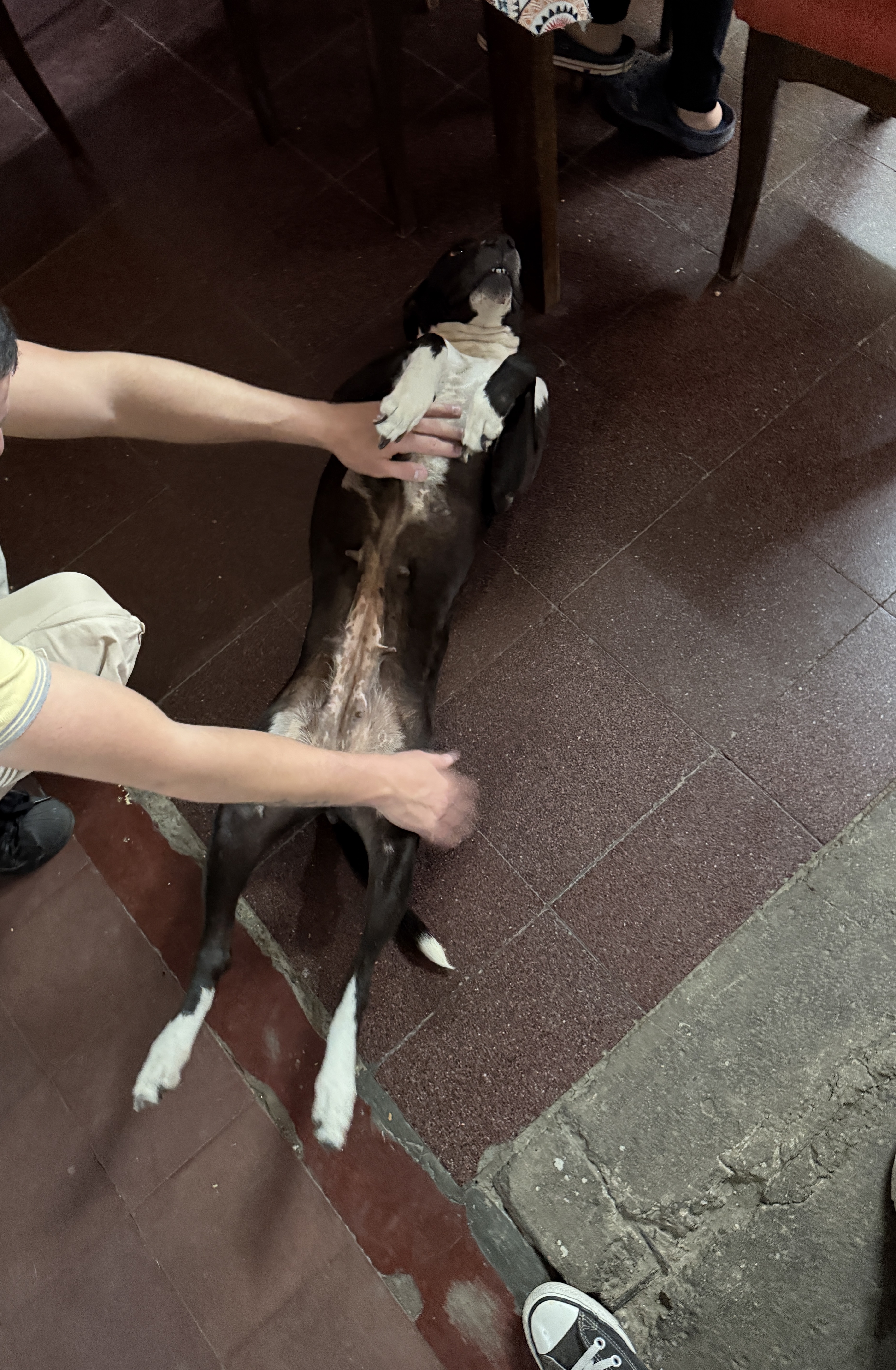 image-10