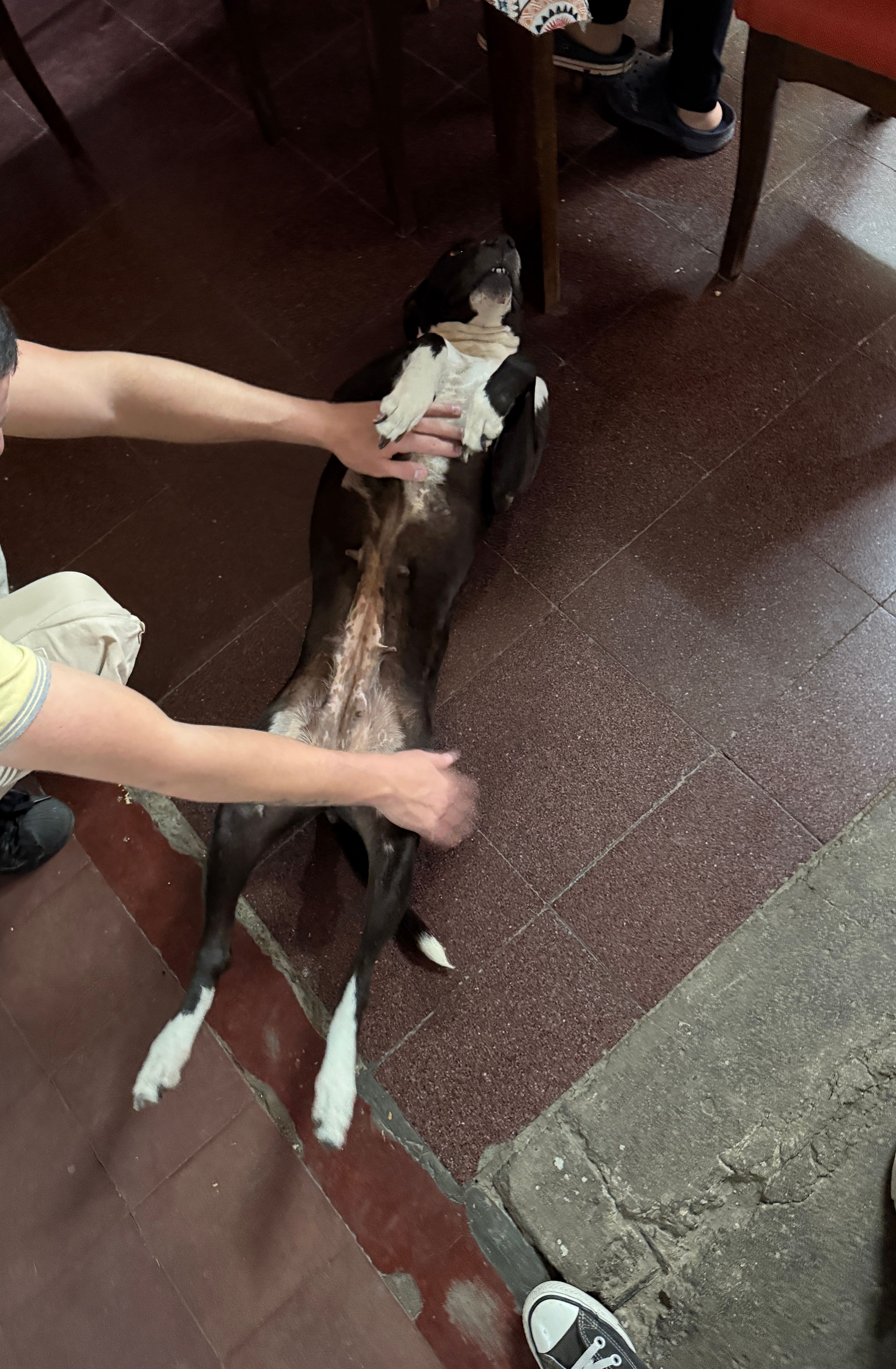 image-10