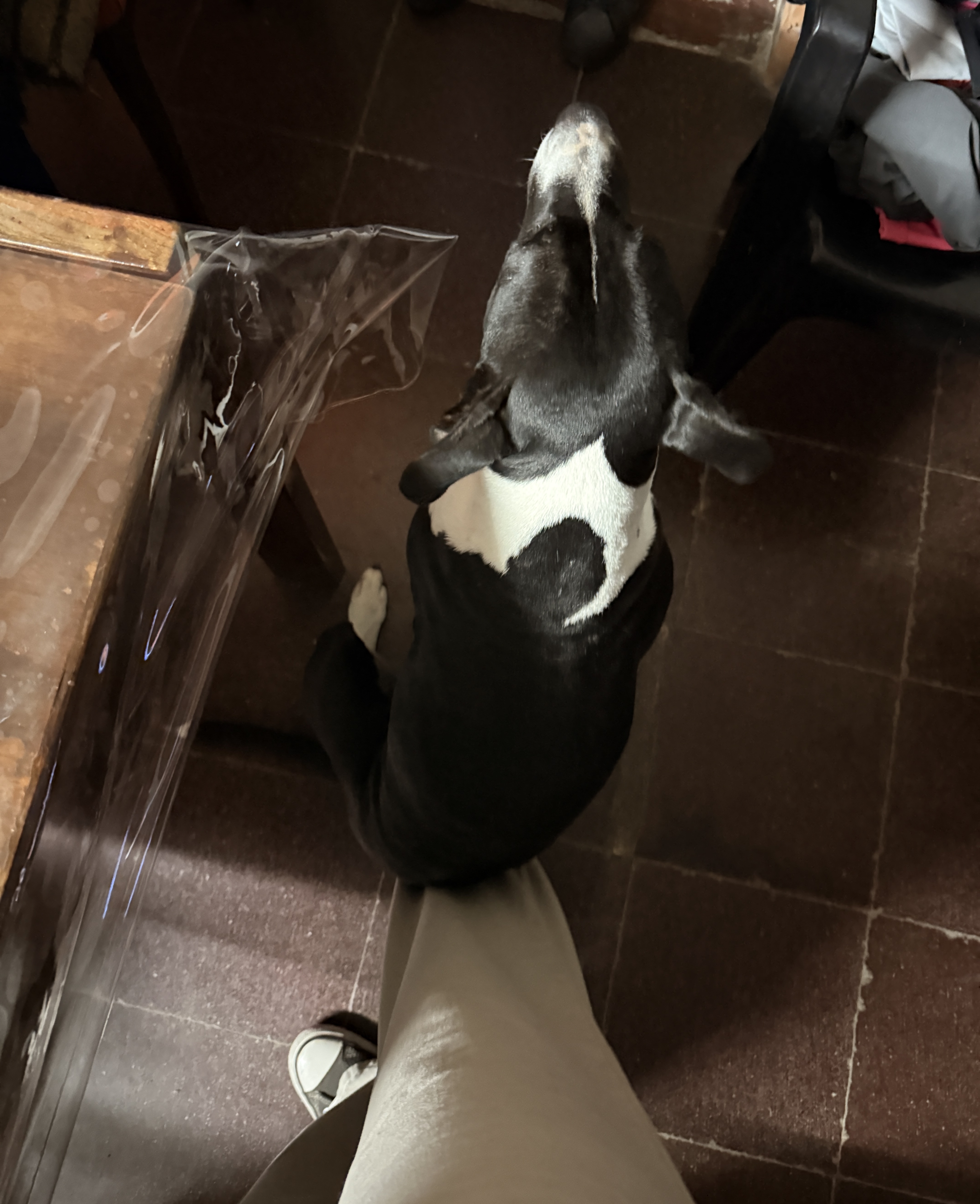 image-12
