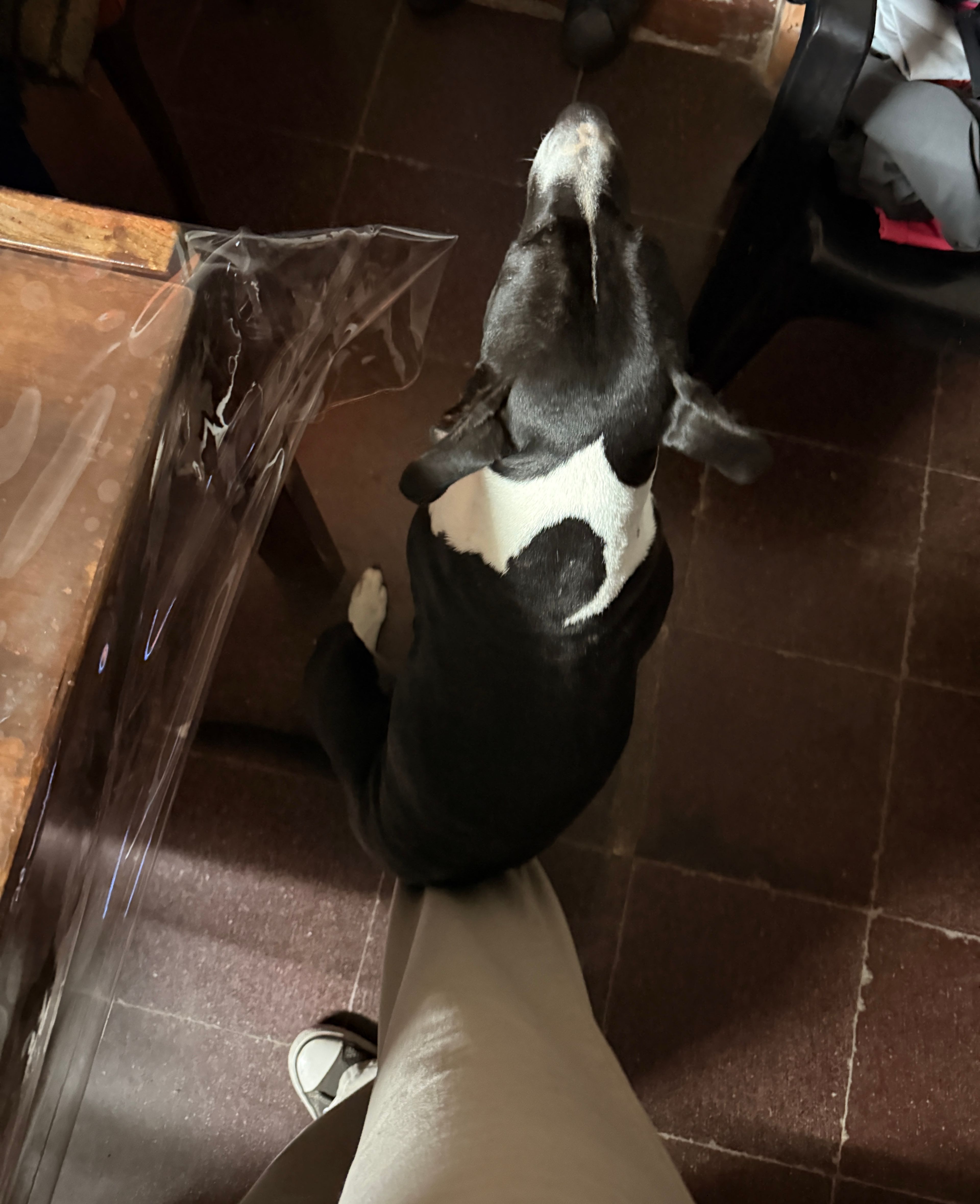 image-12