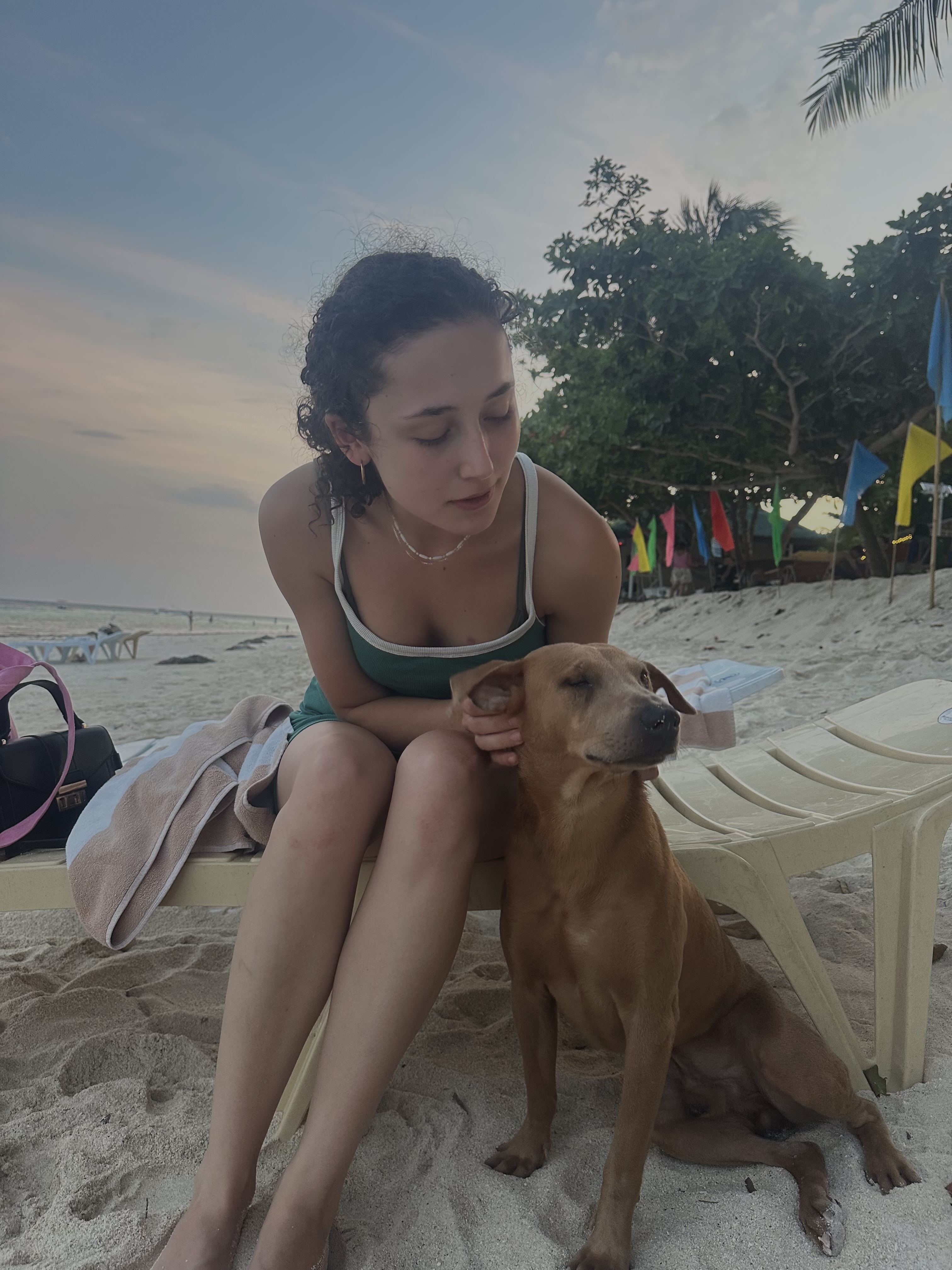 image-8