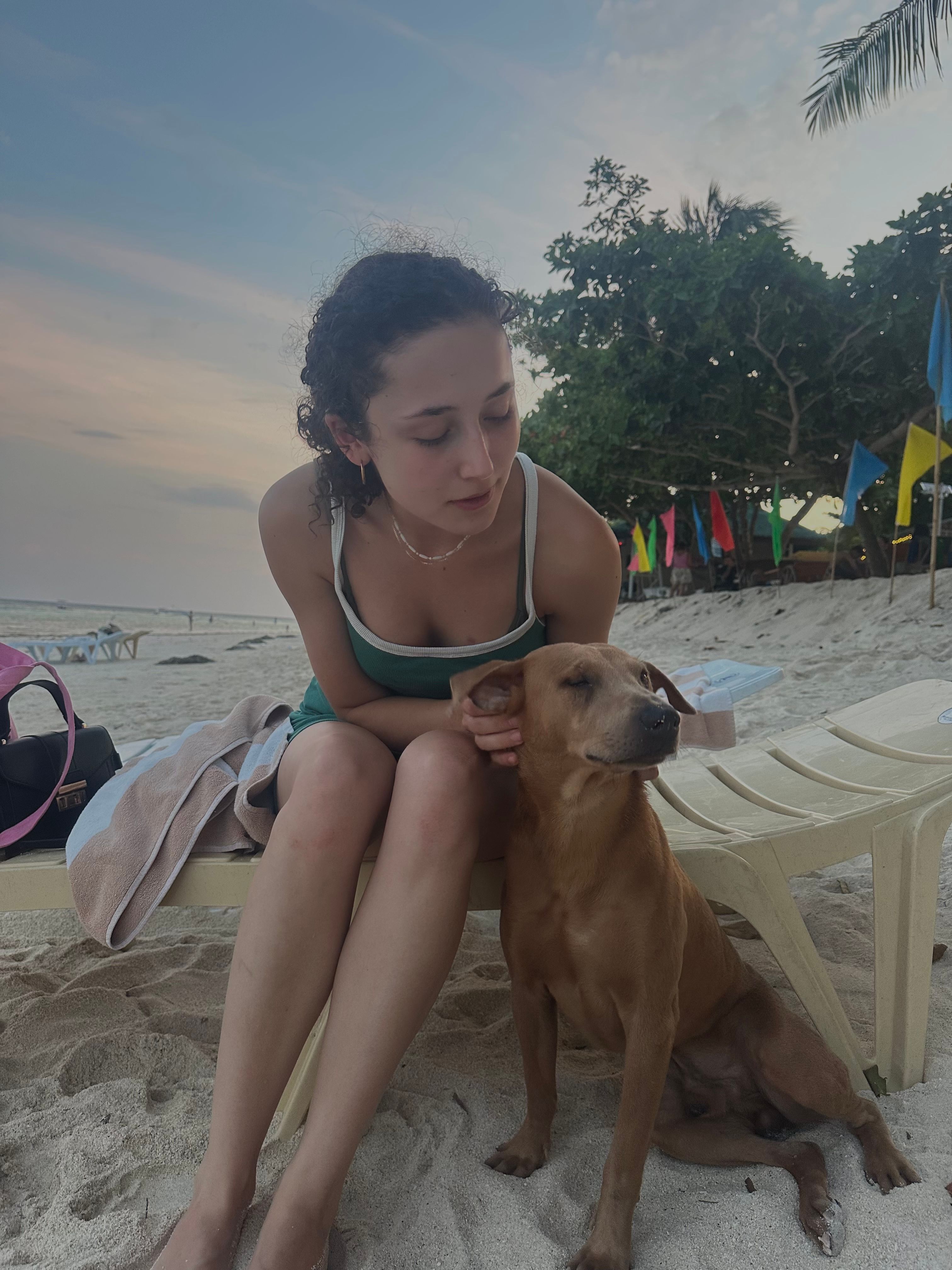 image-8