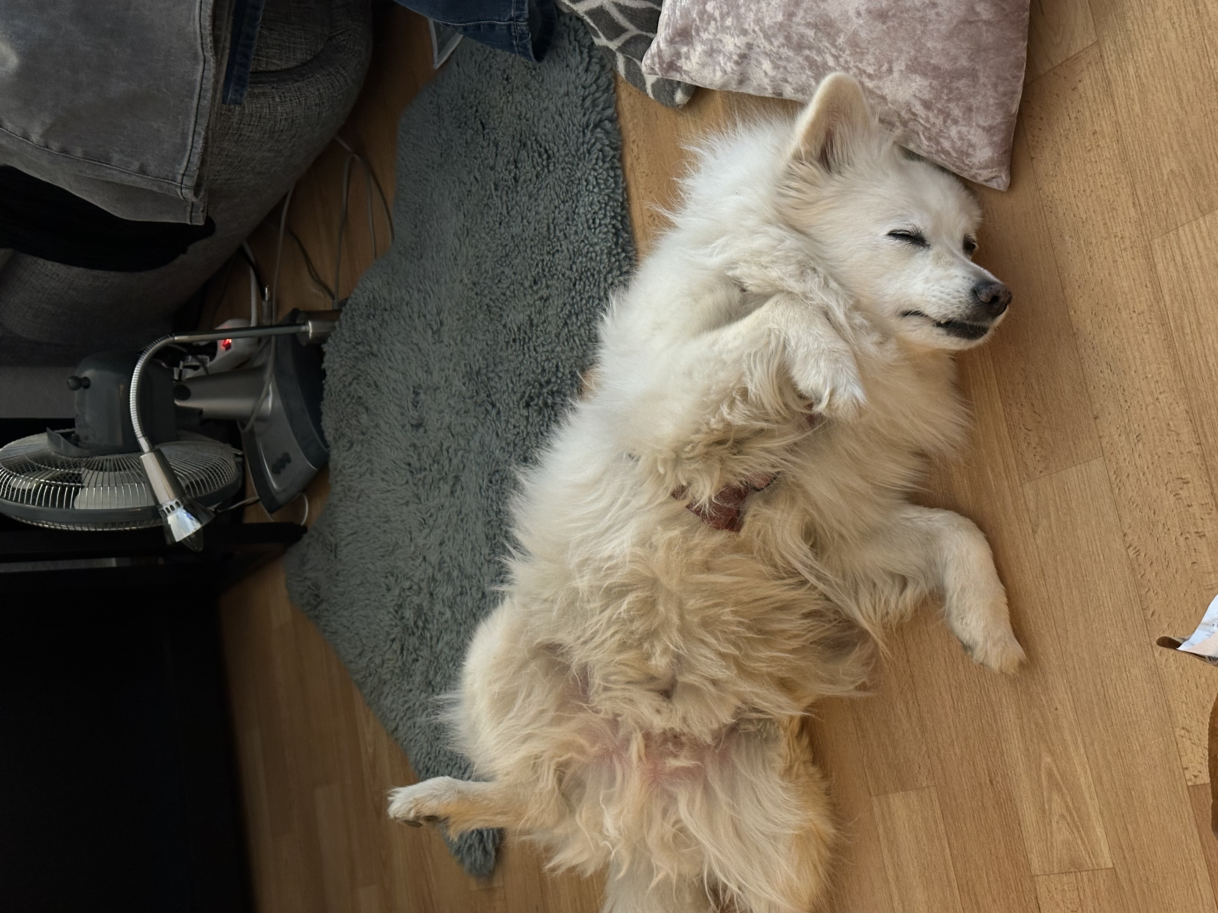 image-9