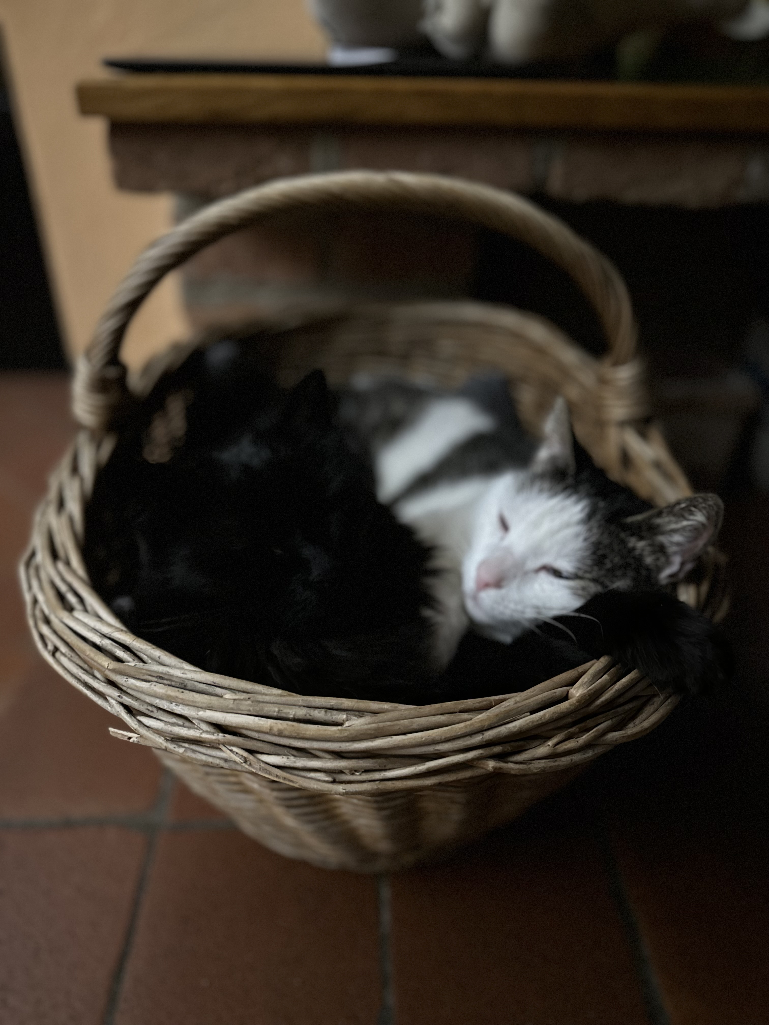 image-14