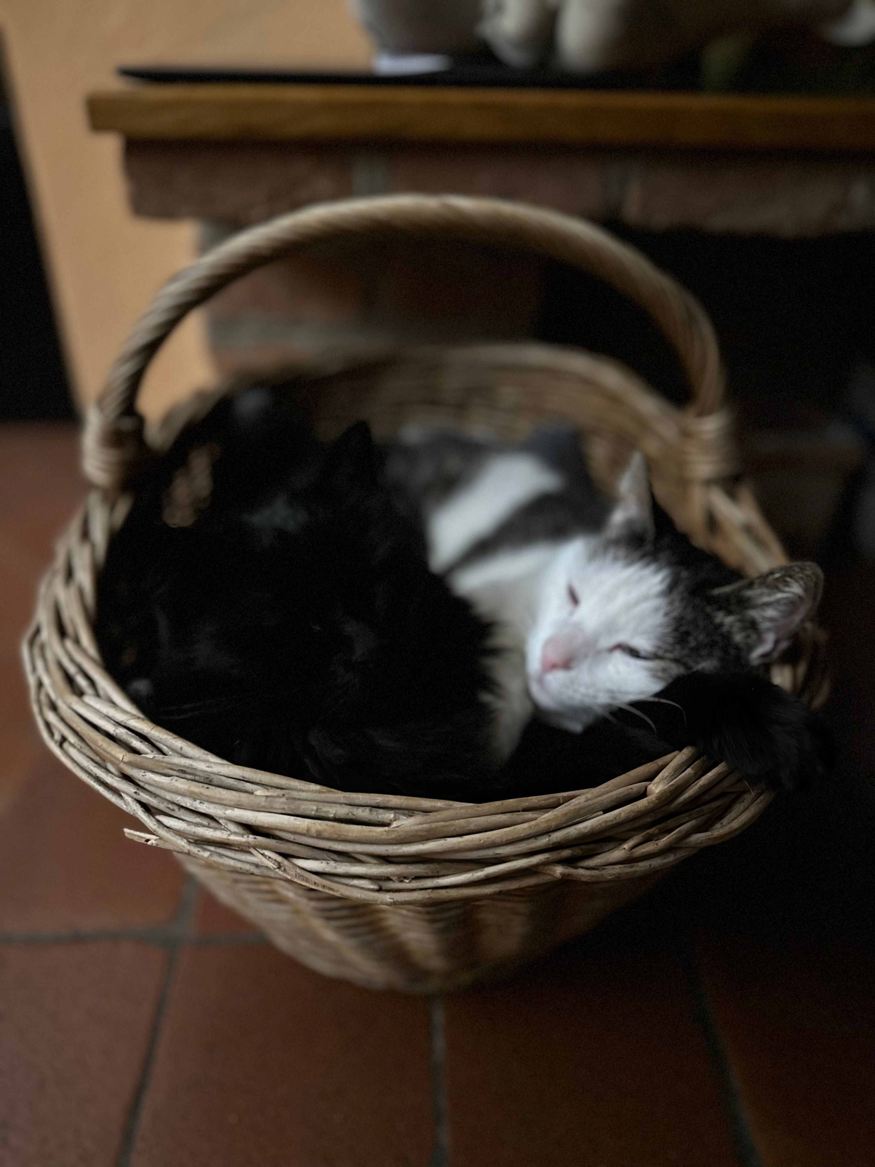 image-14