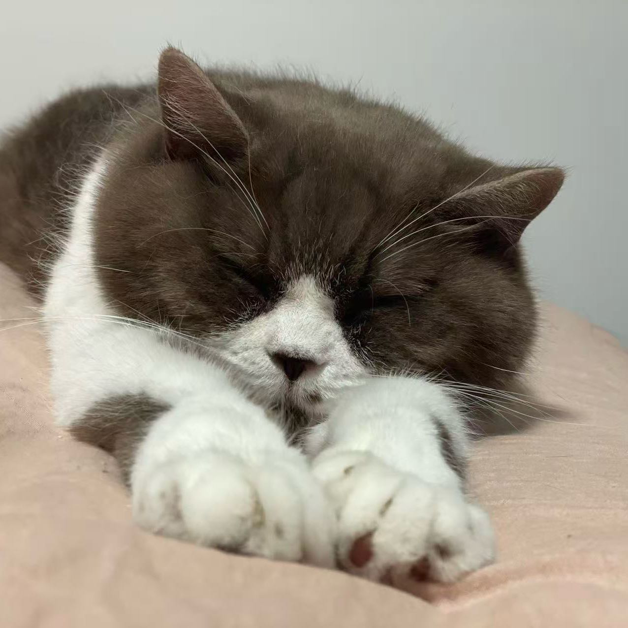 Maru