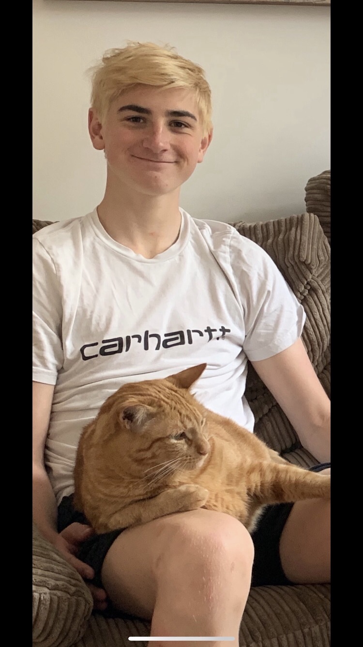 image-6