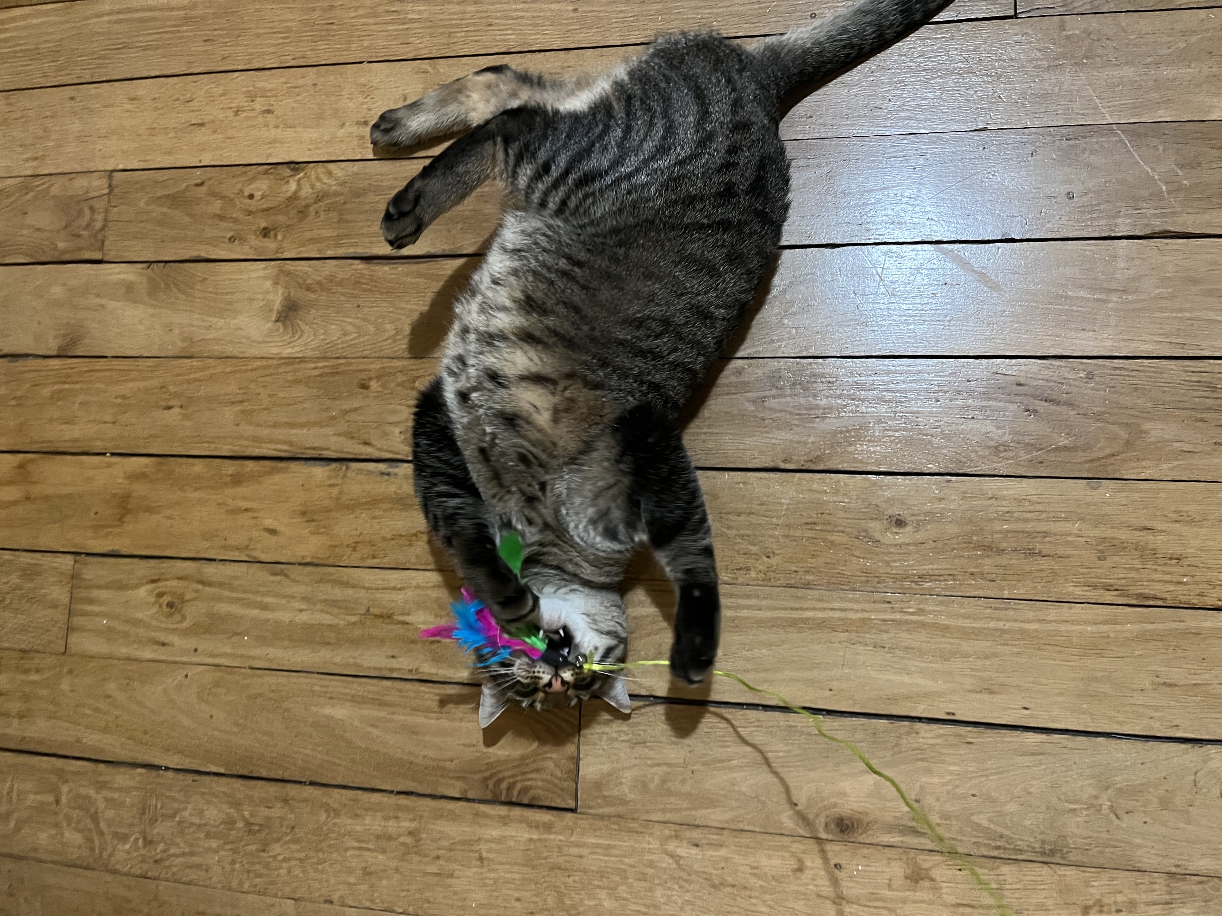 image-6