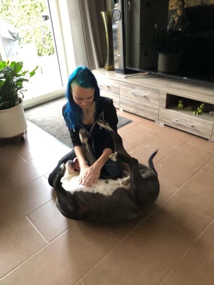 image-7