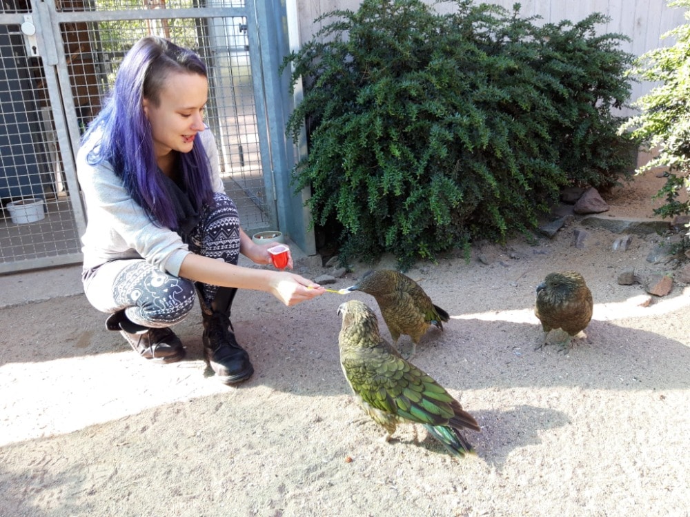 image-18