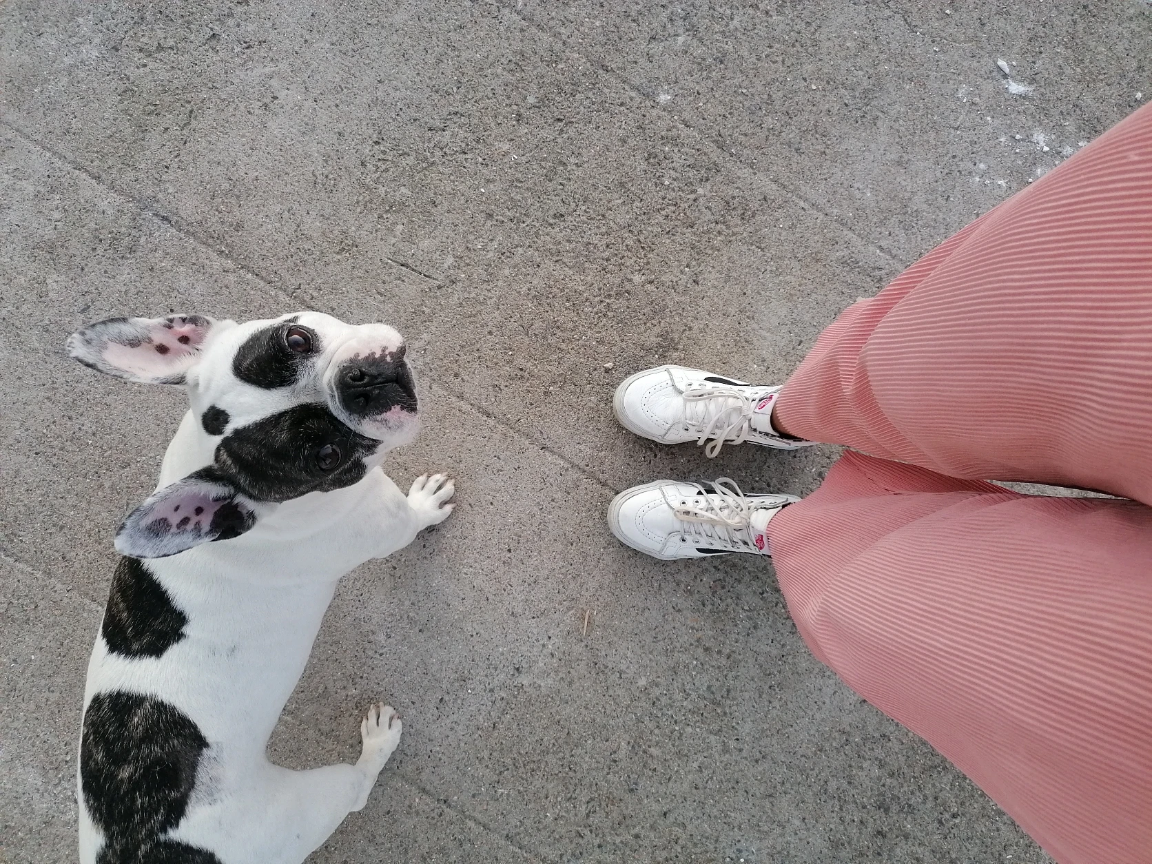 image-5