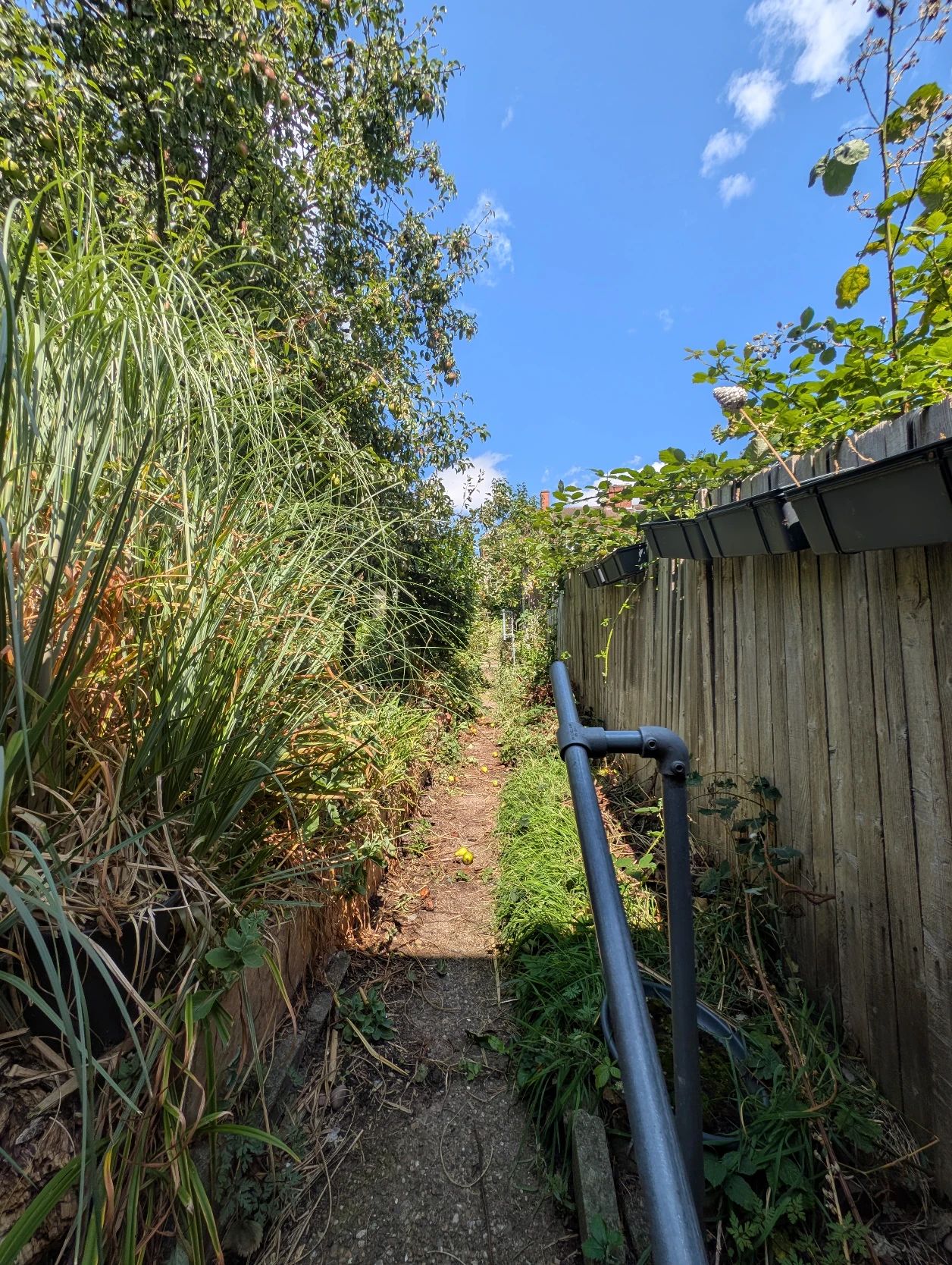 image-18