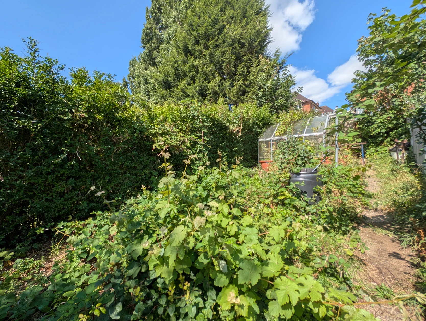 image-20