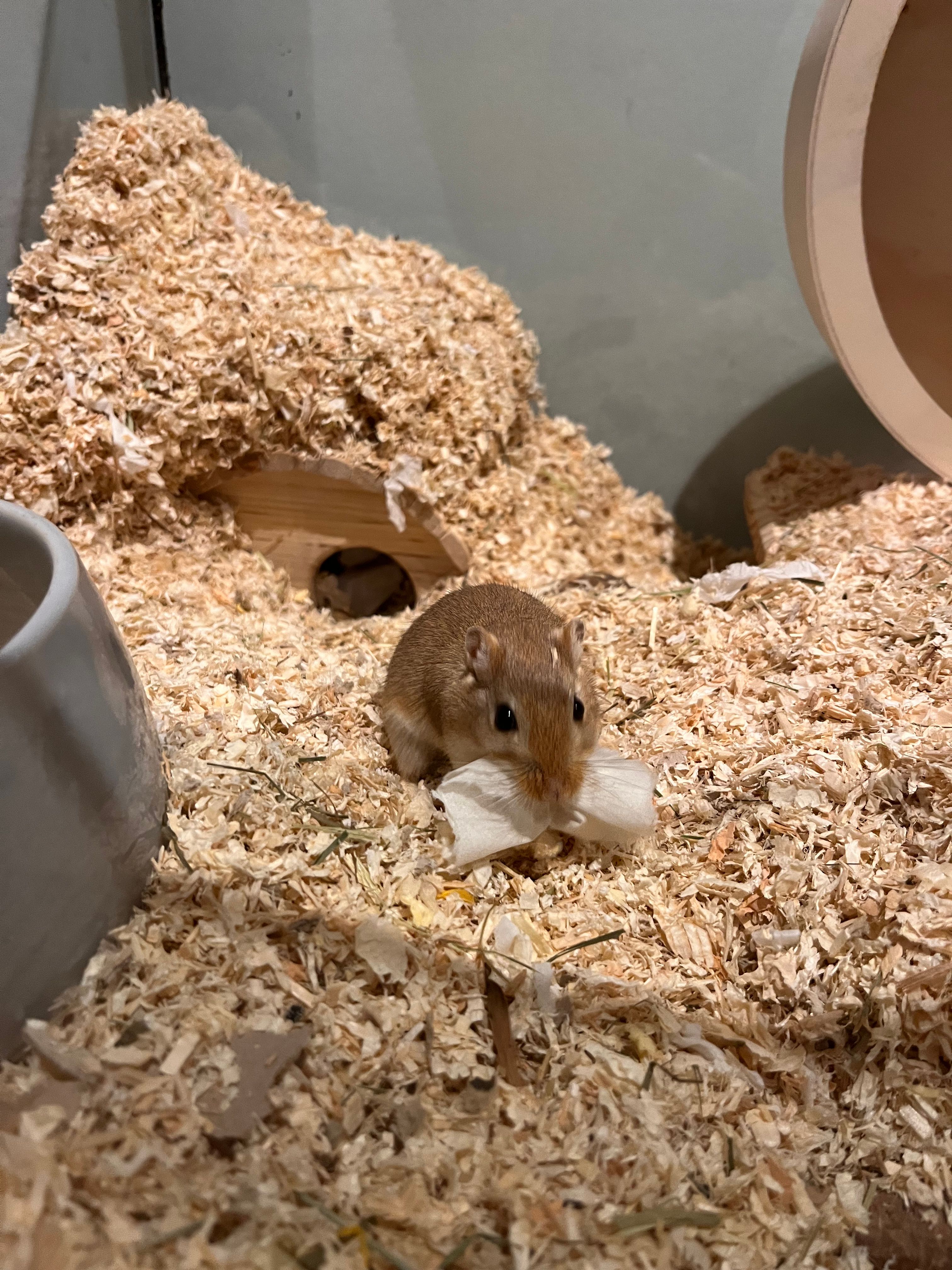 image-12