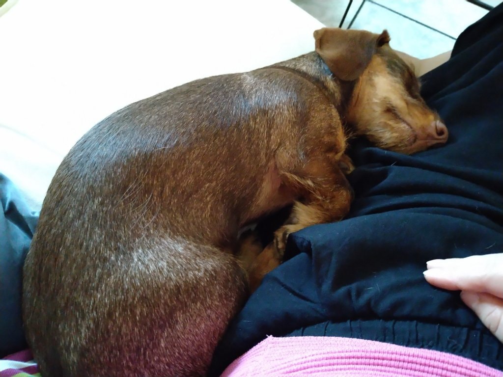 image-4