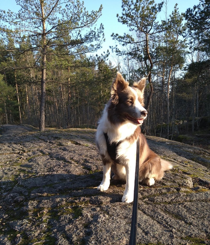 image-3