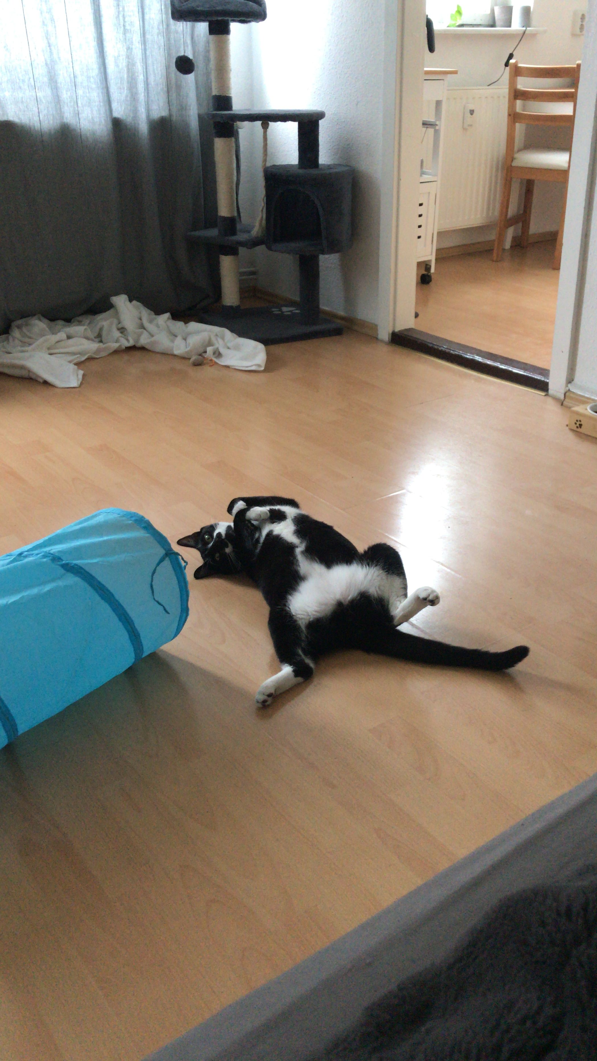 image-8