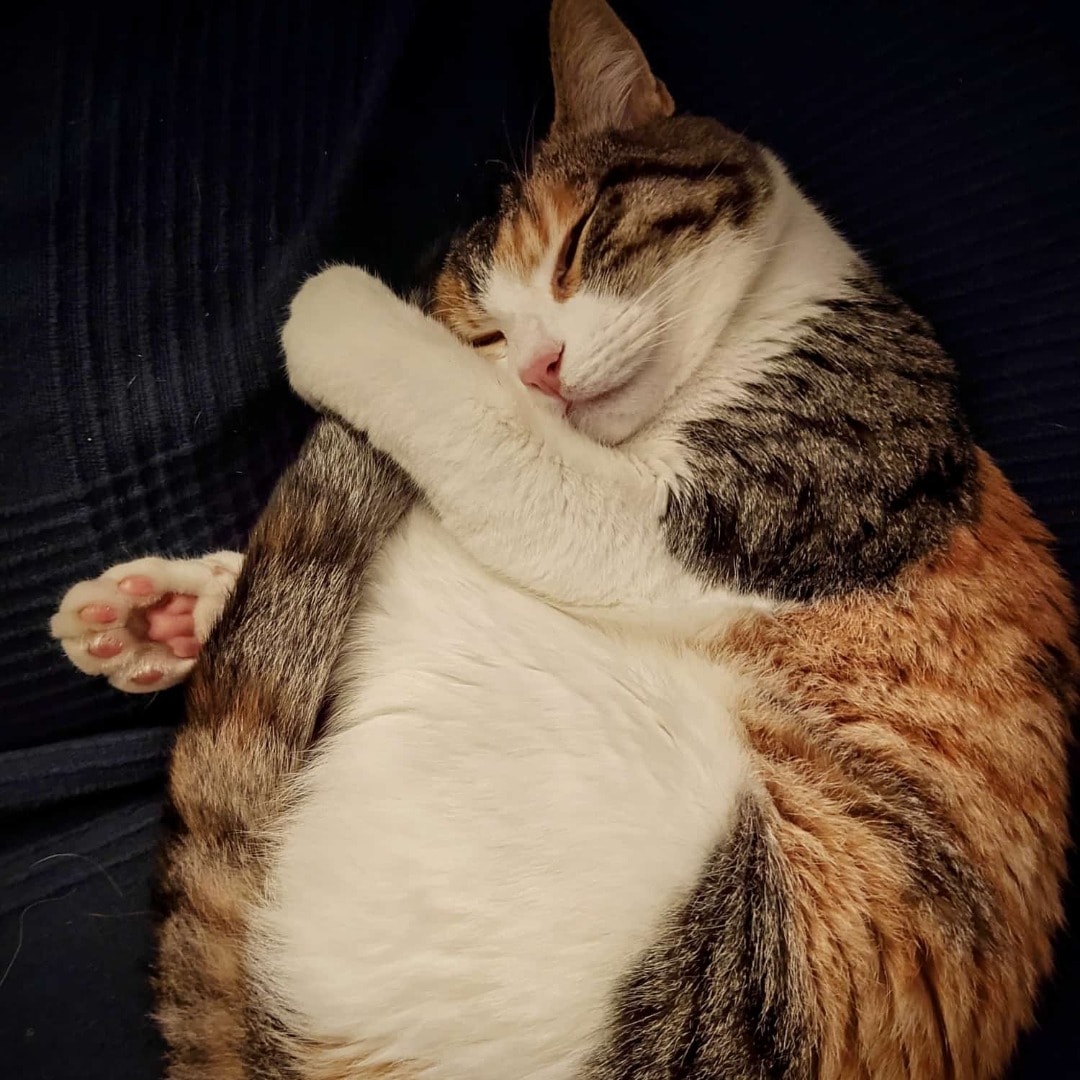 Lily