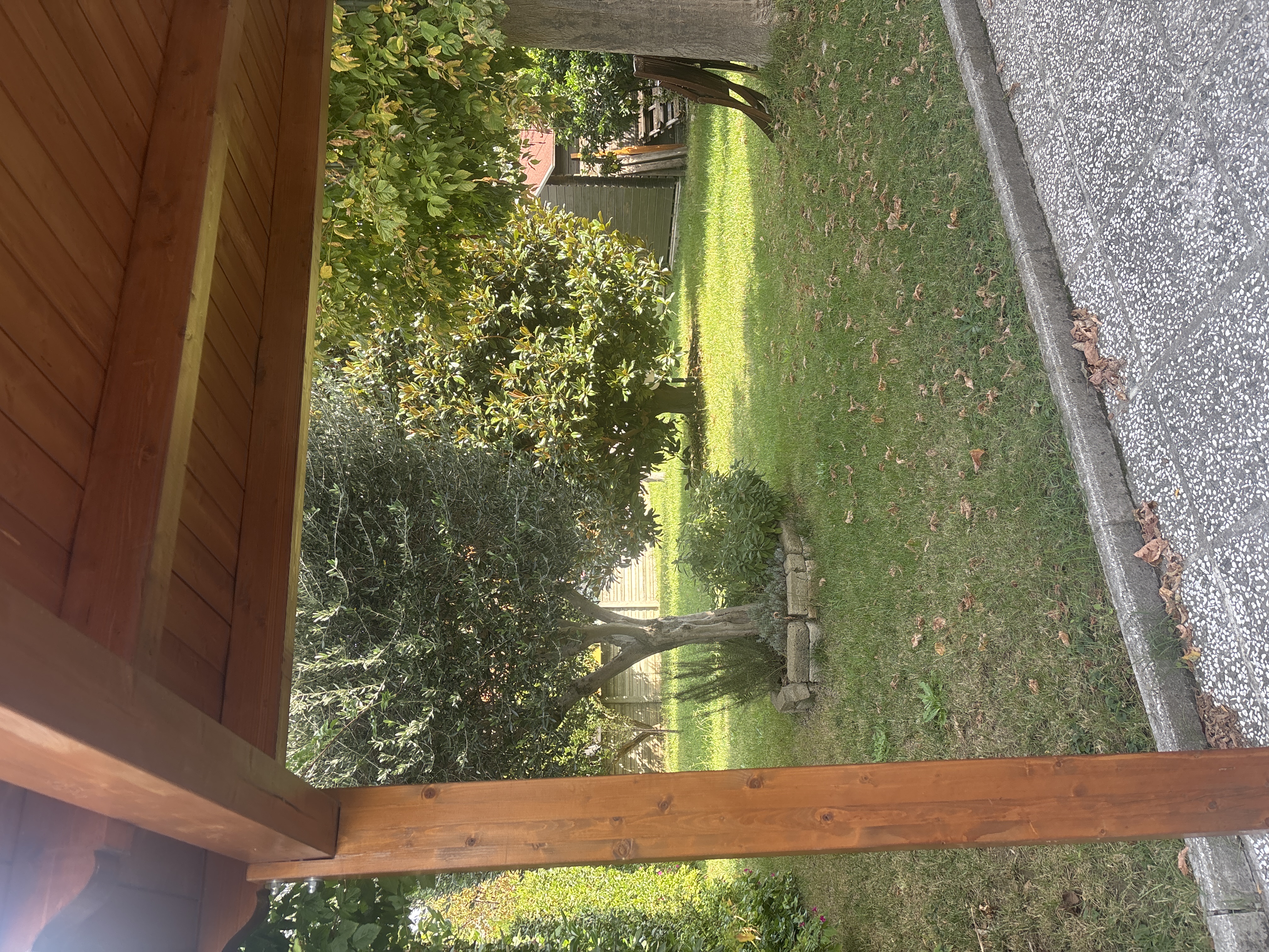 image-19