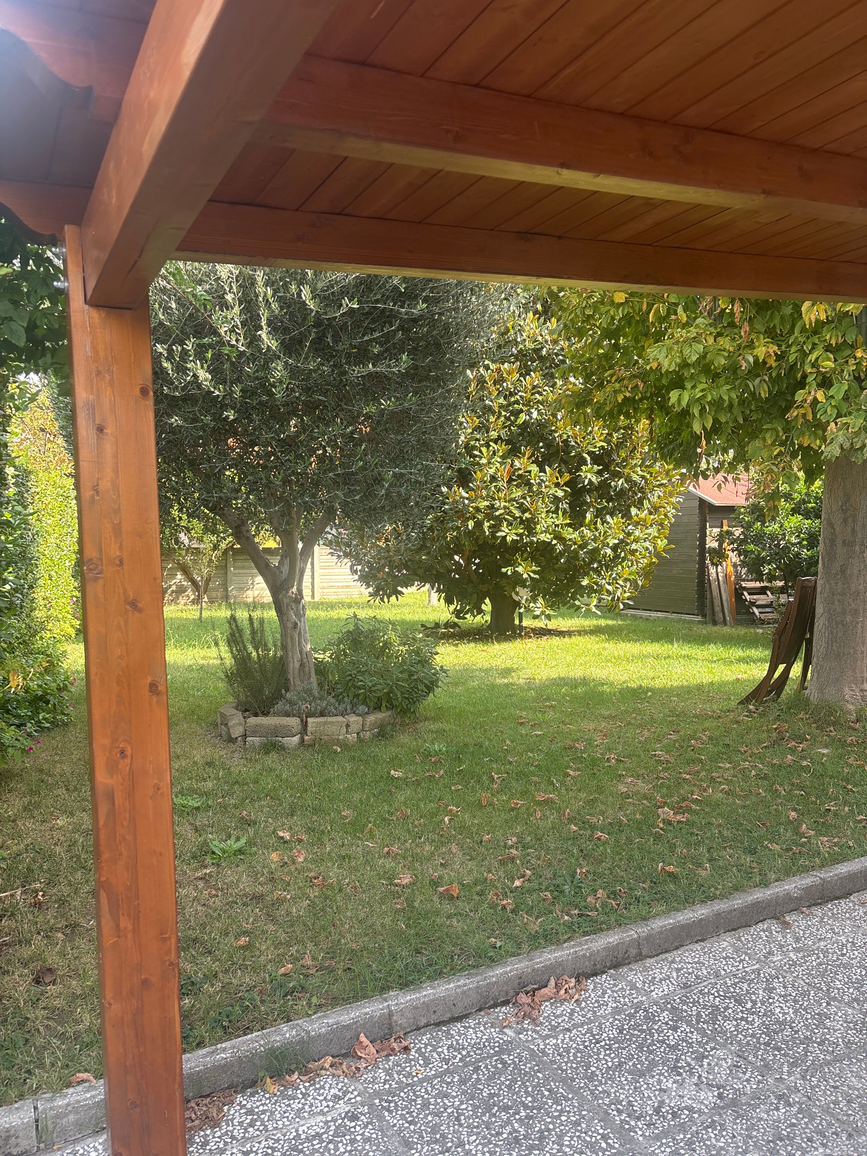 image-19
