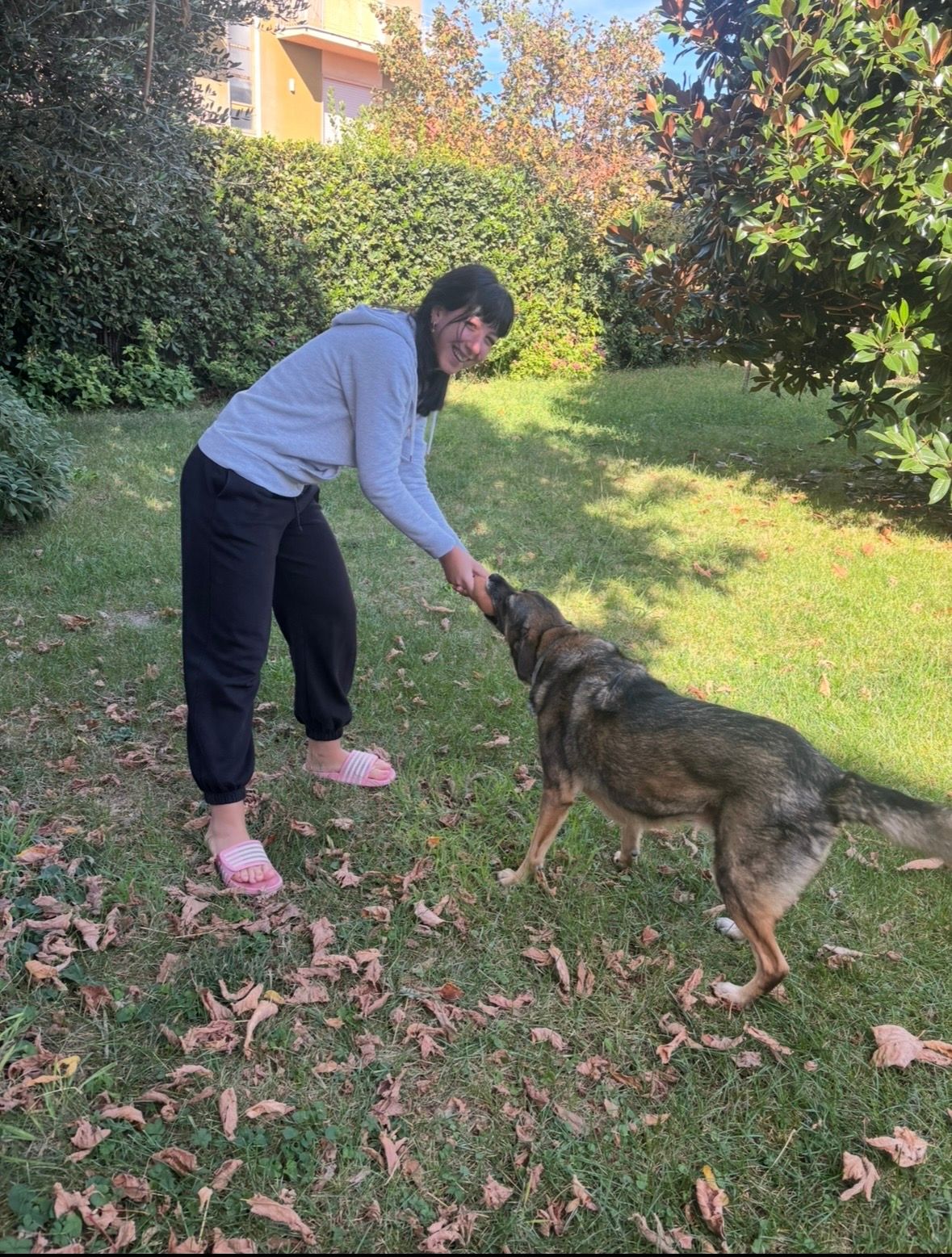 image-14