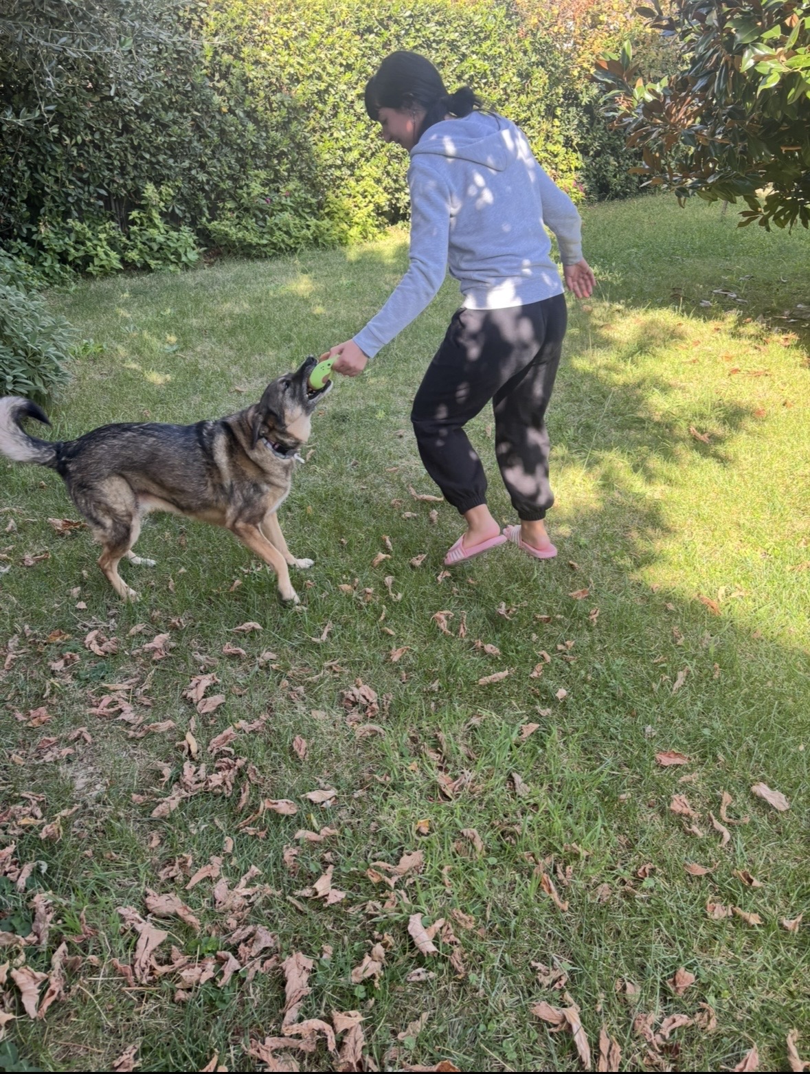 image-13