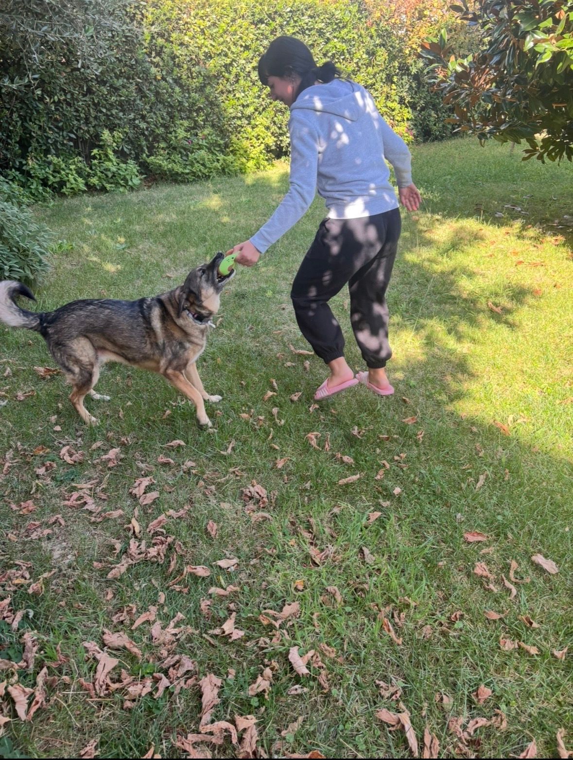 image-13