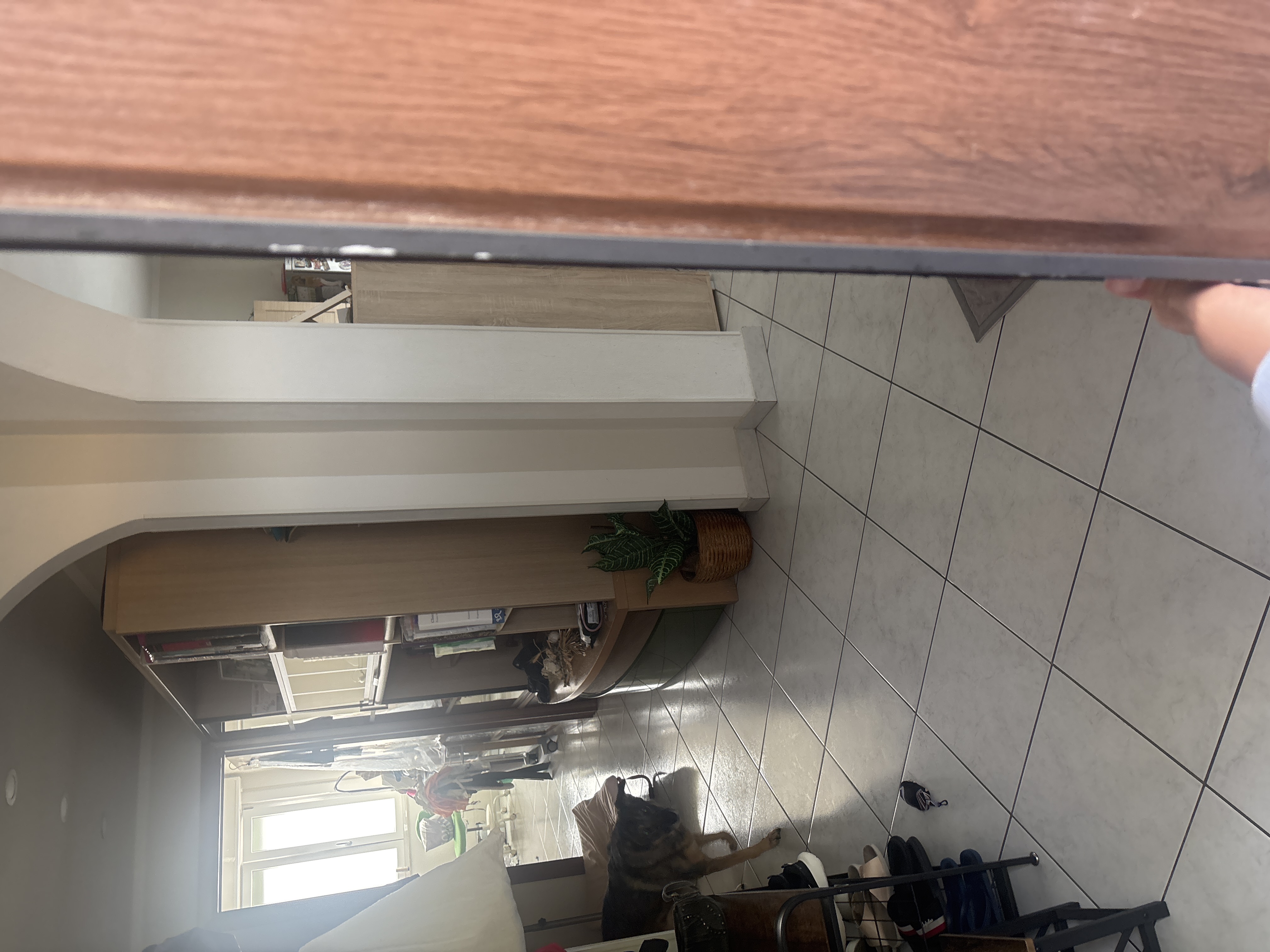 image-17