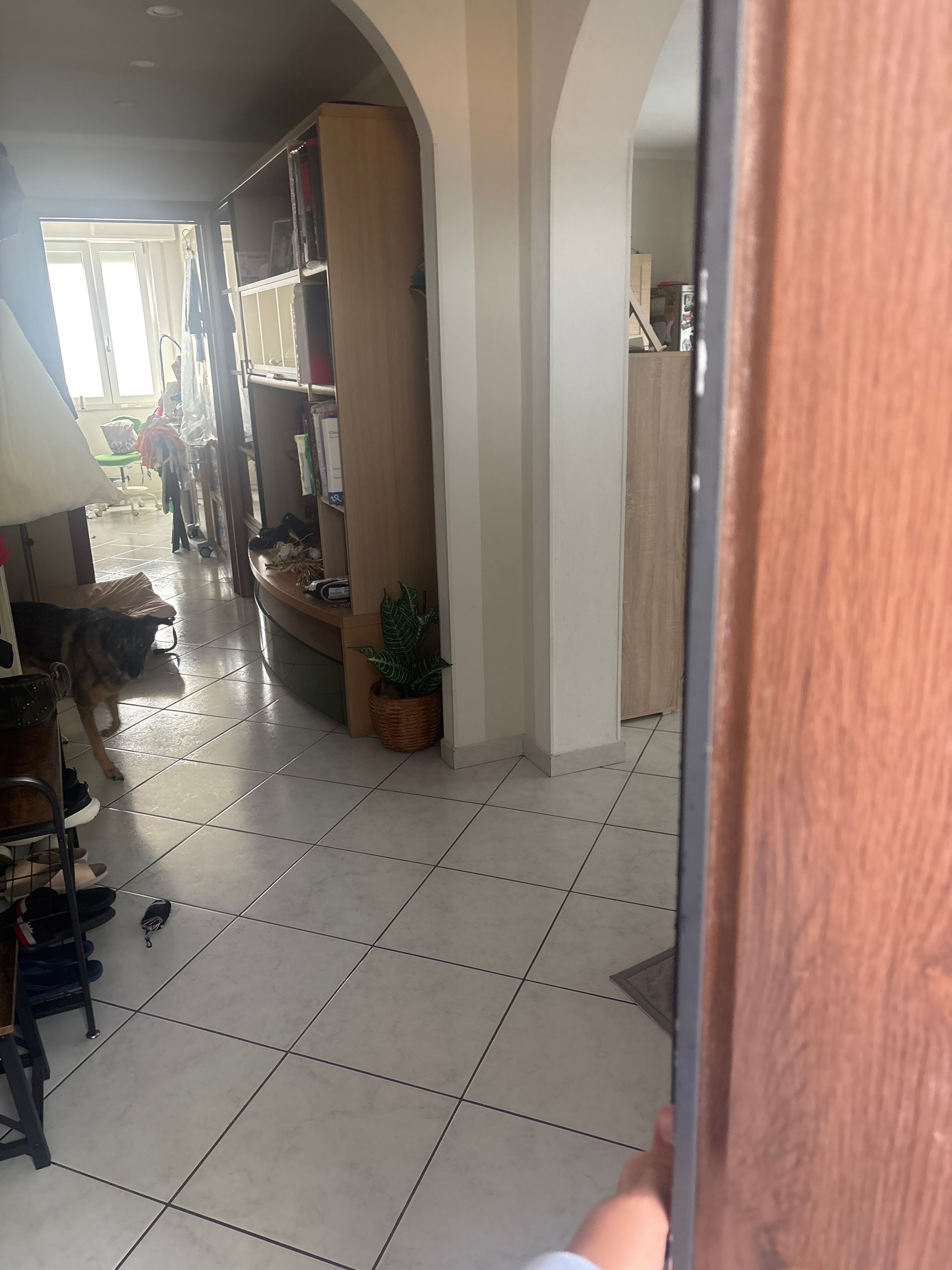 image-17