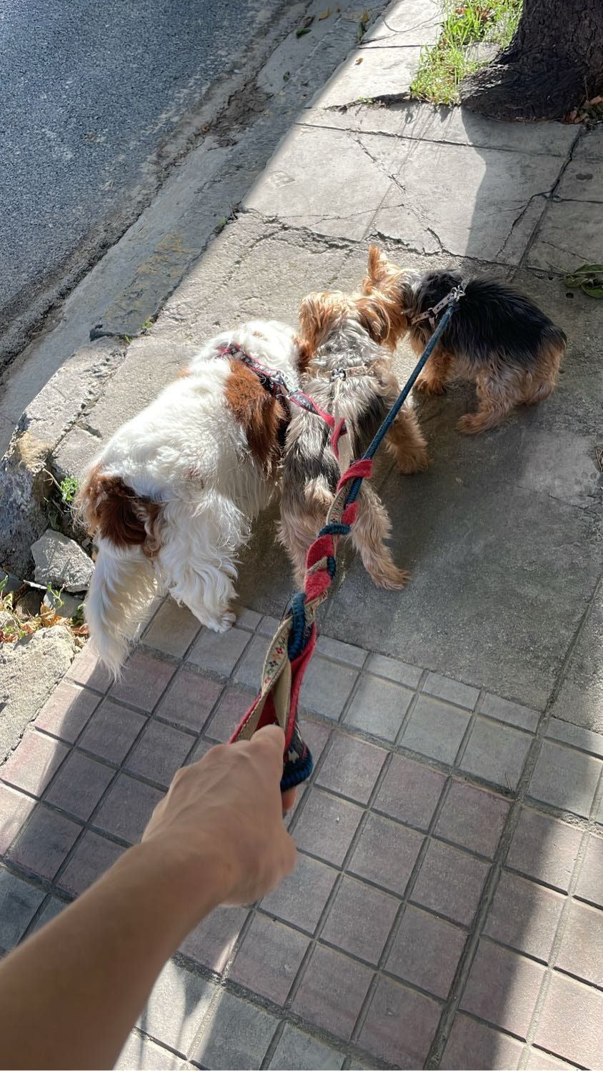 image-11