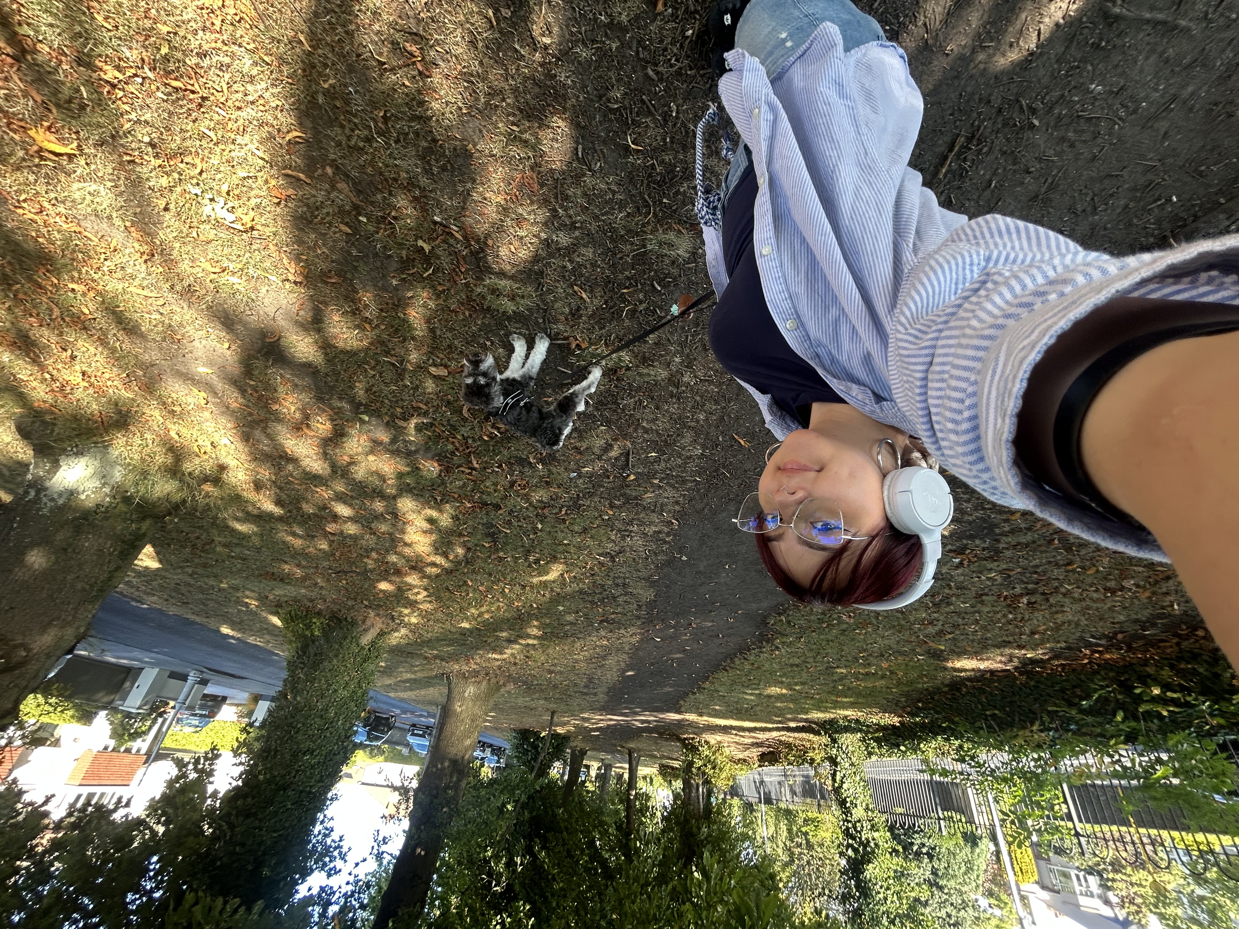 image-11