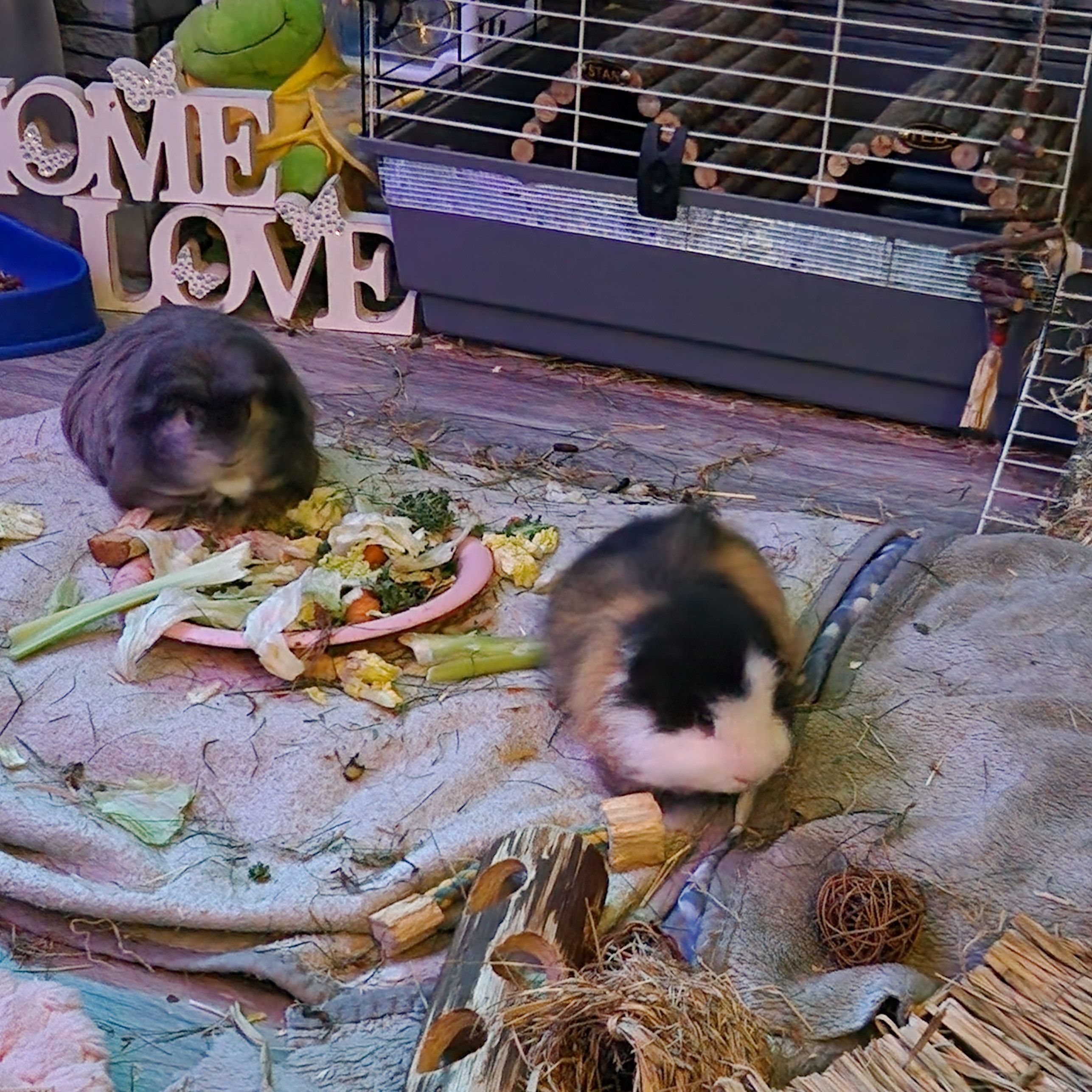 Ted and stan