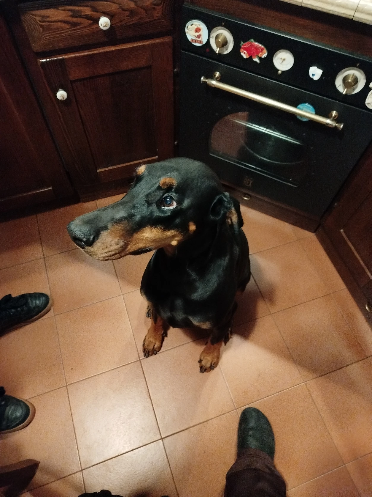 image-9