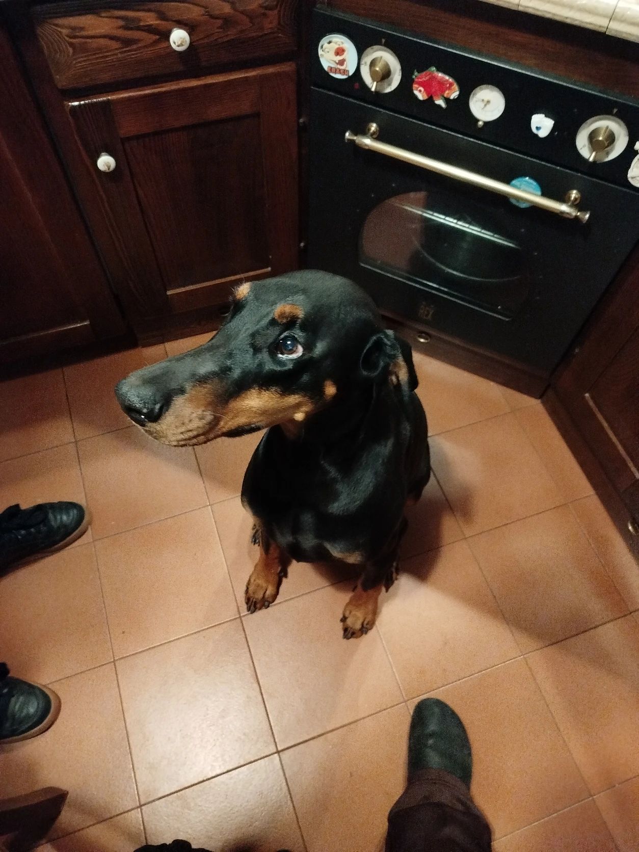 image-9