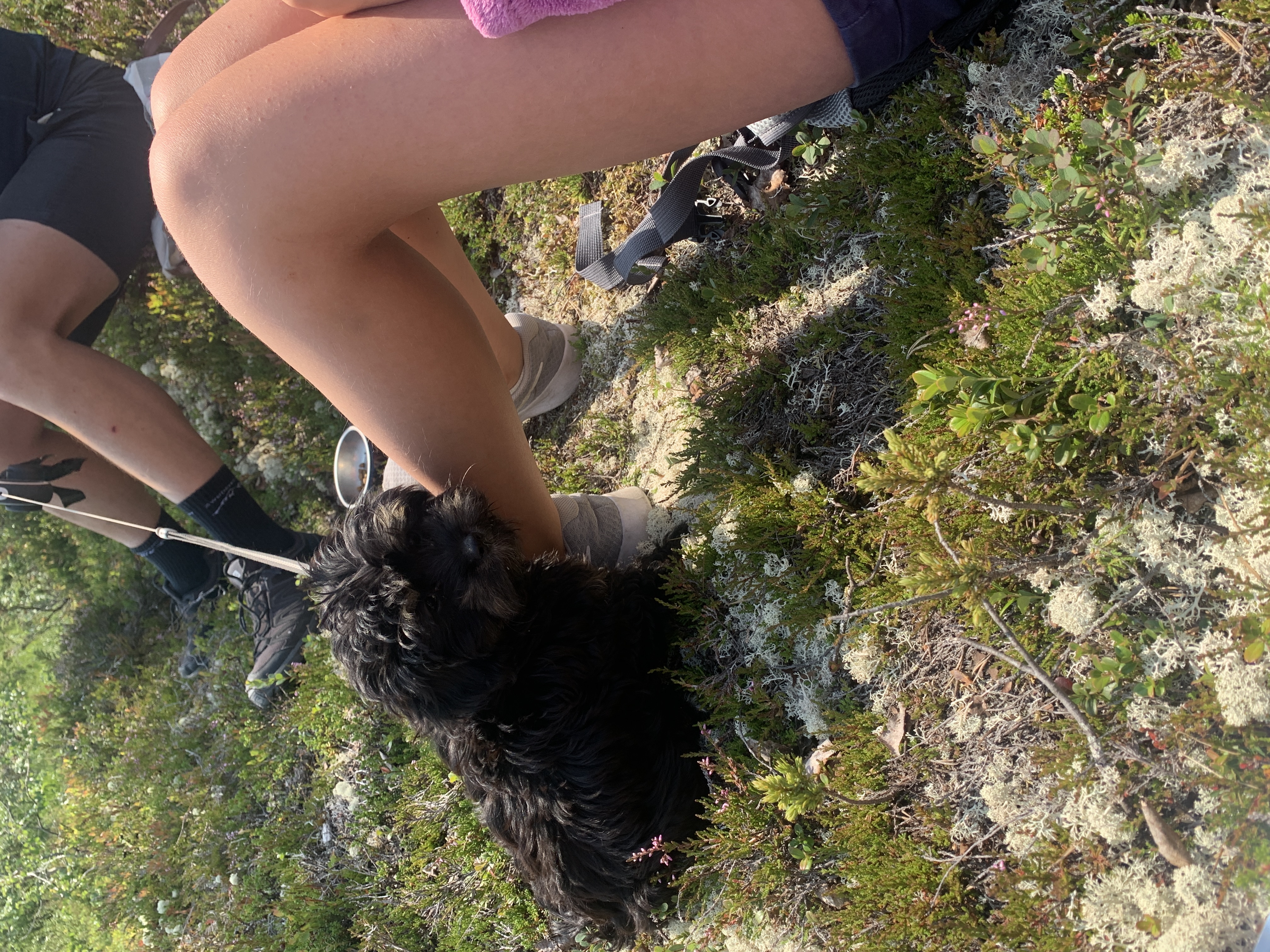 image-0