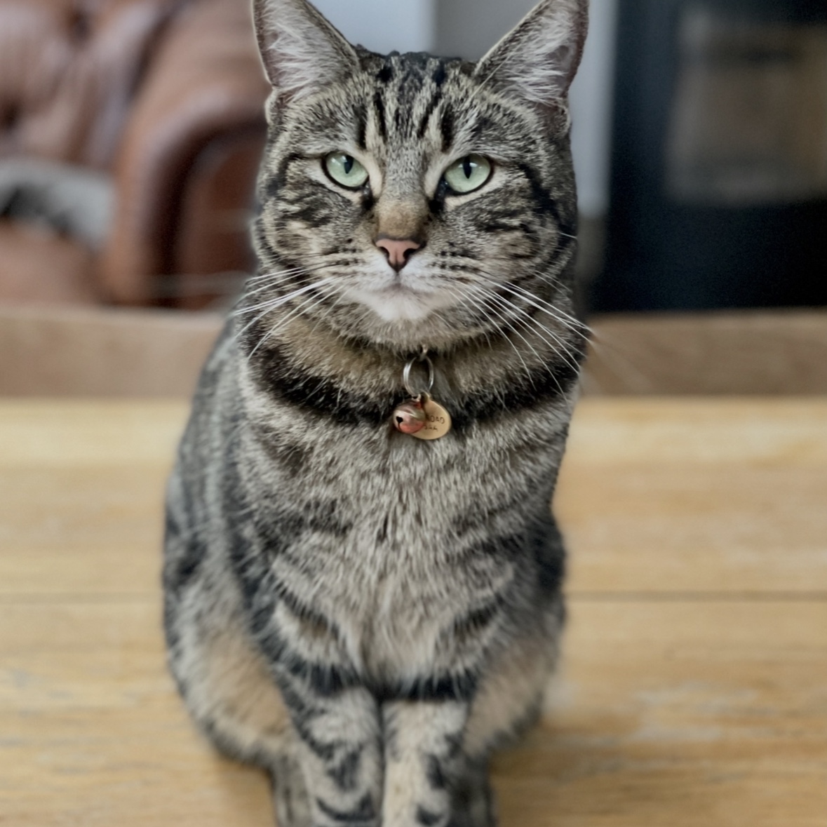 Suki