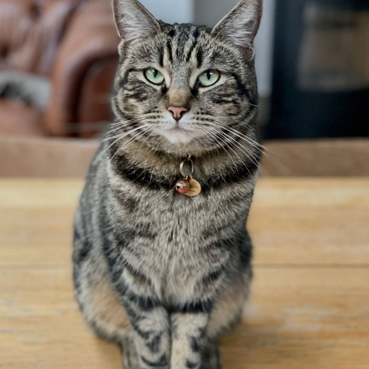 Suki