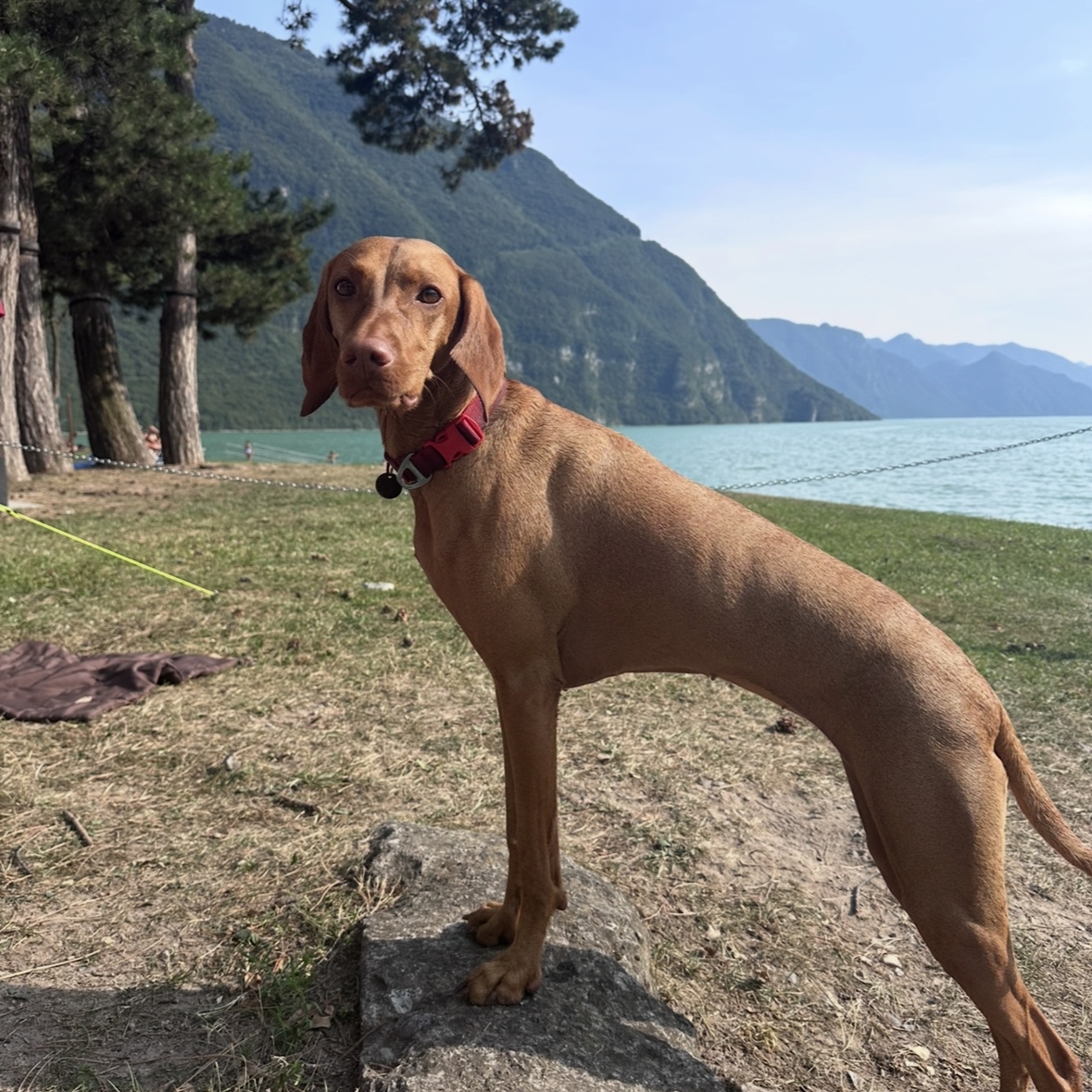Maggie 