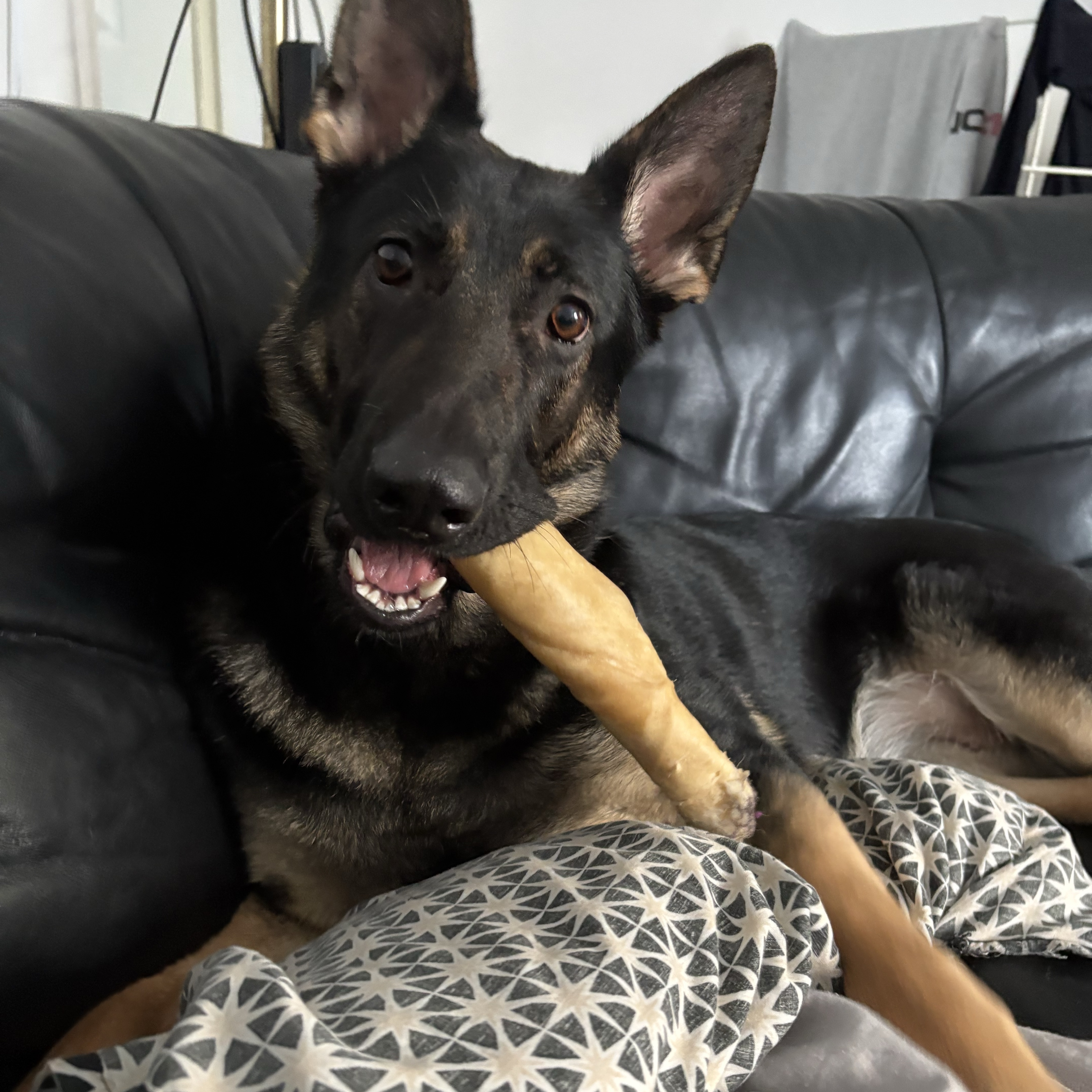 Kaida