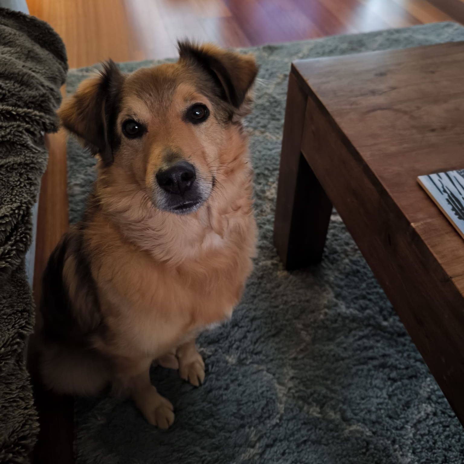 Kenji