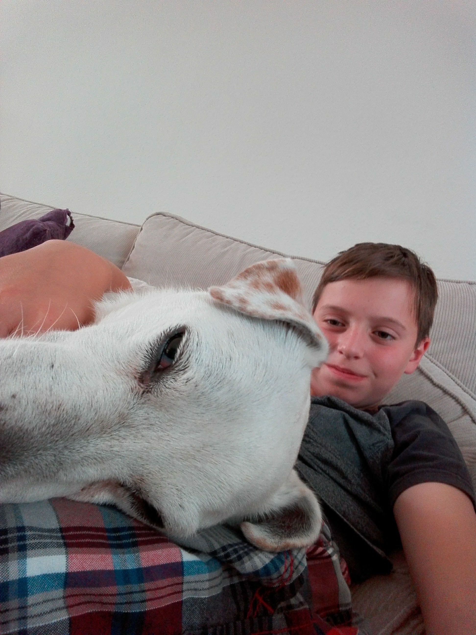 image-8