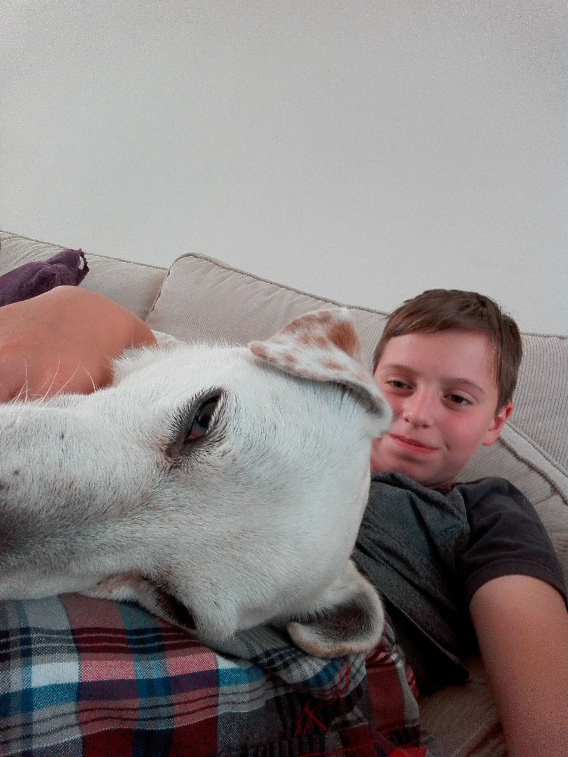 image-8