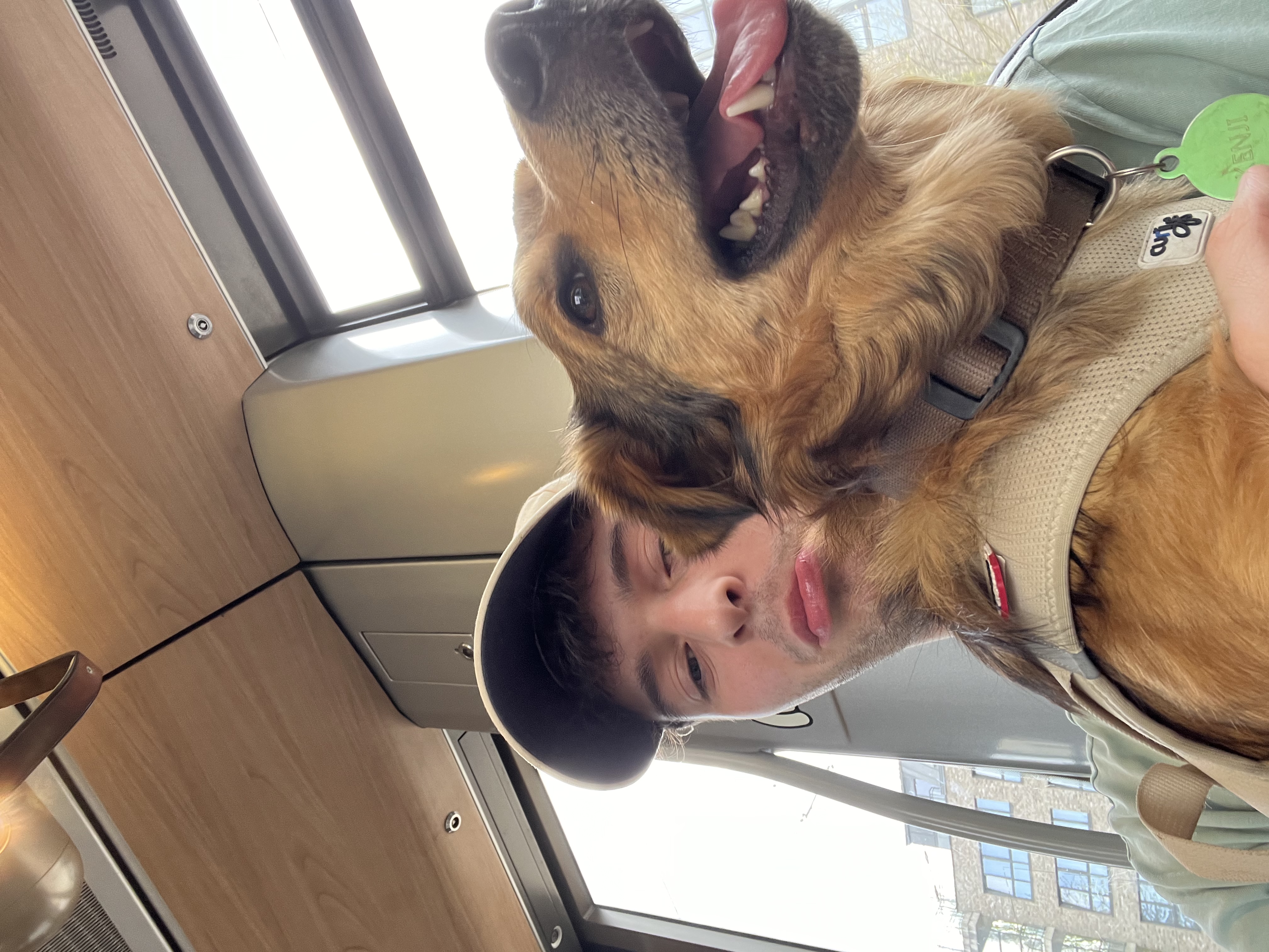 image-3