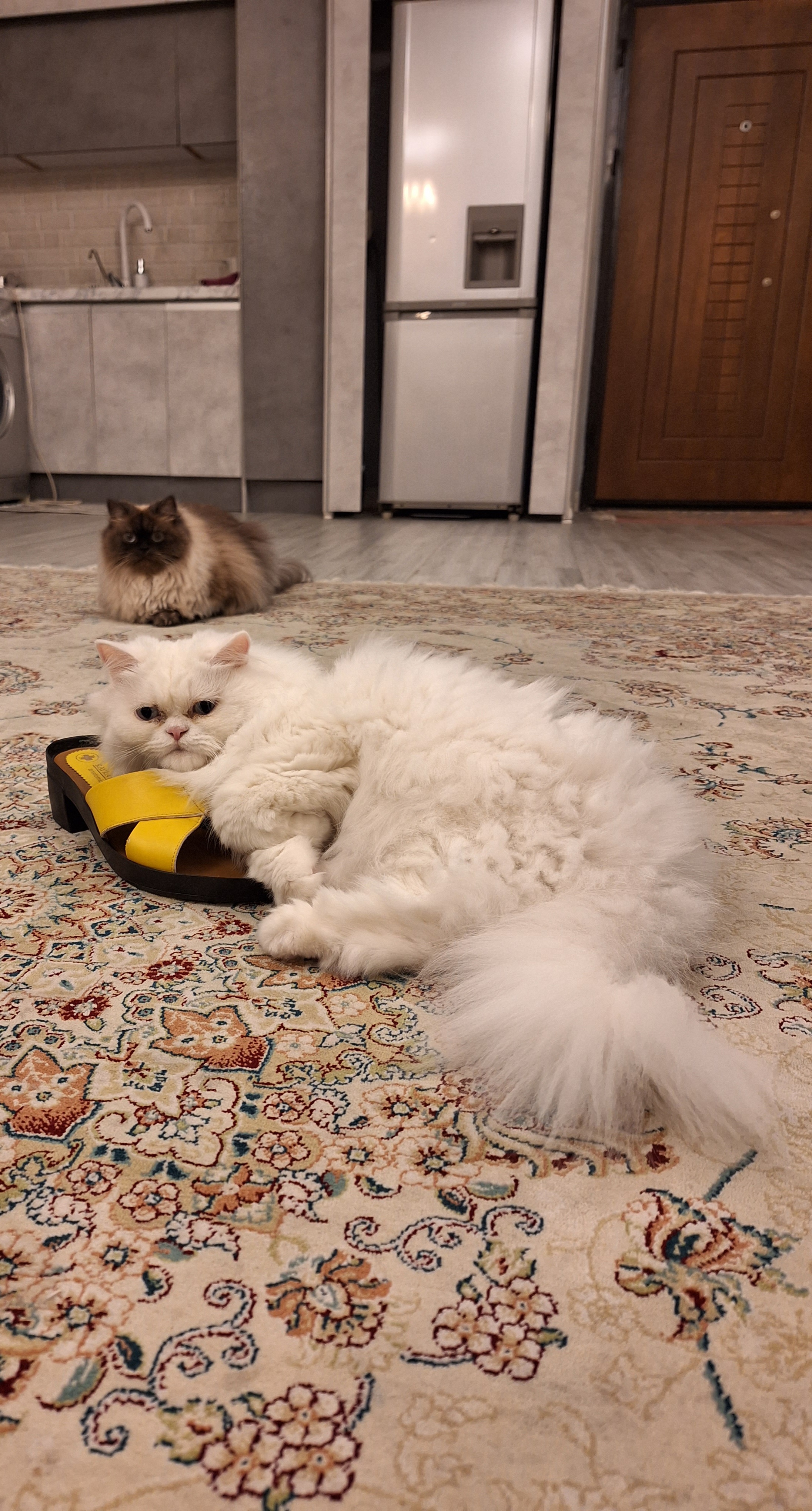image-9