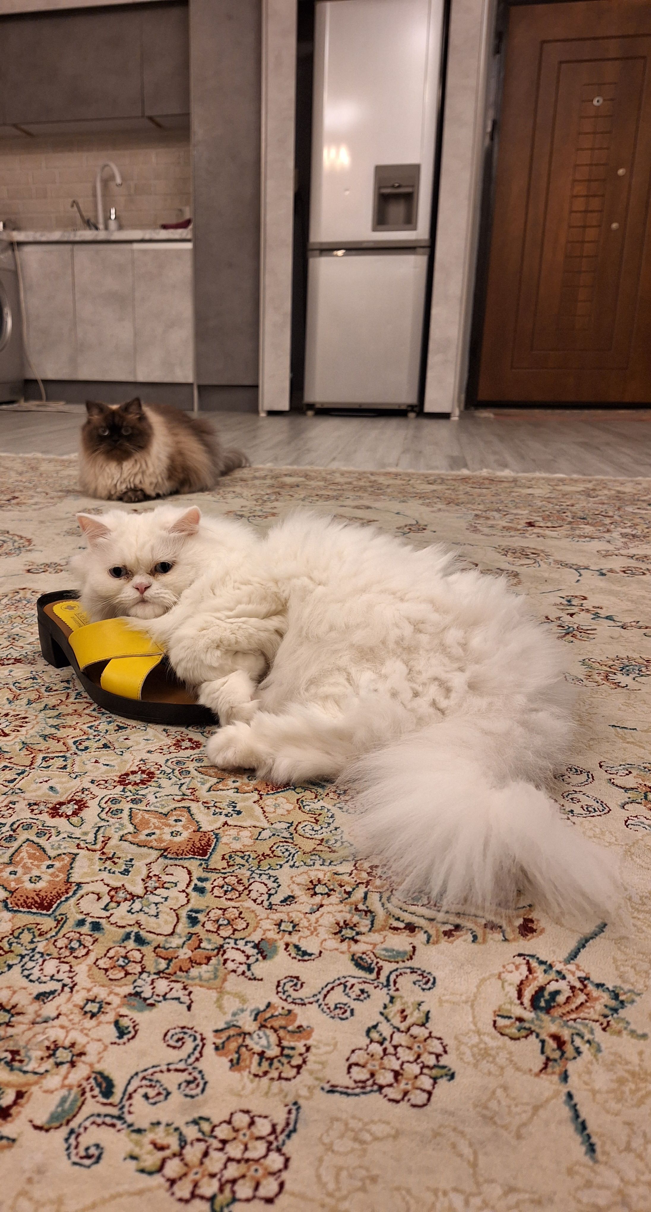 image-9